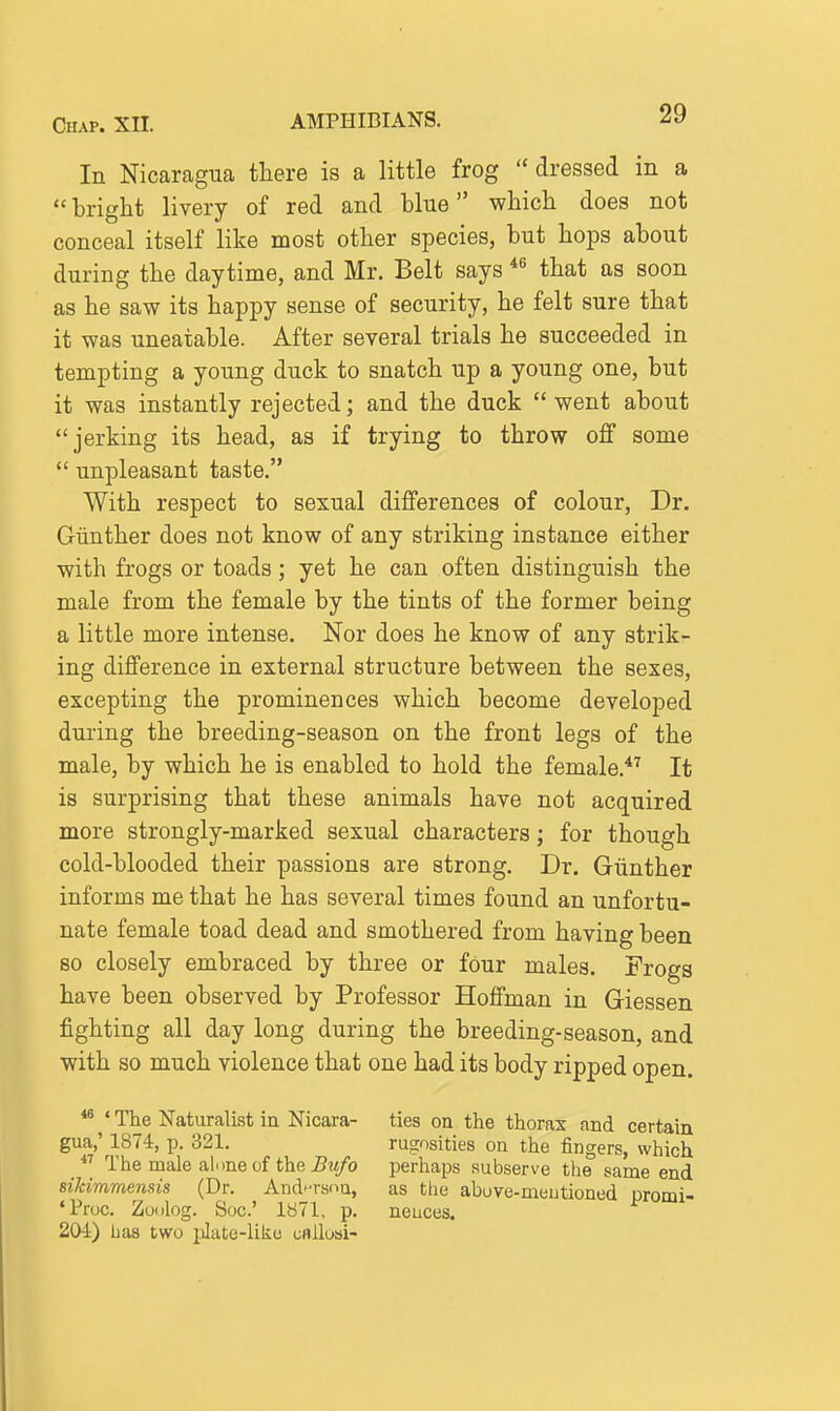 In Nicaragua there is a little frog  dressed in a  bright livery of red and blue which does not conceal itself like most other species, but hops about during the daytime, and Mr. Belt says that as soon as he saw its happy sense of security, he felt sure that it was uneatable. After several trials he succeeded in tempting a young duck to snatch up a young one, but it was instantly rejected; and the duck  went about jerking its head, as if trying to throw off some  unpleasant taste. With respect to sexual differences of colour, Dr. Giinther does not know of any striking instance either with frogs or toads; yet he can often distinguish the male from the female by the tints of the former being a little more intense. Nor does he know of any strik- ing difference in external structure between the sexes, excepting the prominences which become developed during the breeding-season on the front legs of the male, by which he is enabled to hold the female.*'' It is surprising that these animals have not acquired more strongly-marked sexual characters; for though cold-blooded their passions are strong. Dr. Giinther informs me that he has several times found an unfortu- nate female toad dead and smothered from having been so closely embraced by three or four males. Frogs have been observed by Professor Hoffman in Giessen fighting all day long during the breeding-season, and with so much violence that one had its body ripped open. ^ ' The Naturalist in Nicara- ties on the thorax and certain gua,'1874, p. 321. rugosities on the fingers, which  The male alone of the j^w/b perhaps subserve the same end siJcimmensis (Dr. And-rsou, as tlie above-mentioned promi- *Proc. Zuolog. Soc' 1871, p. neuces. 204) has two plate-like cflilosi-