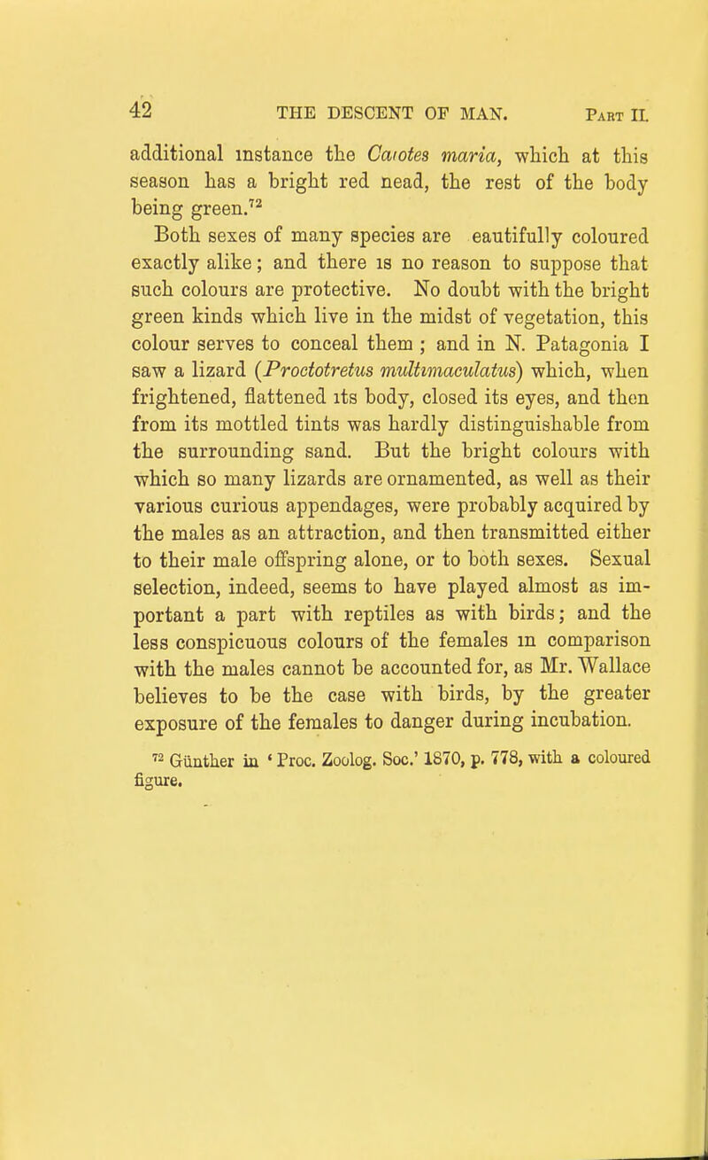 additional instance the Caiotes maria, wliich at this season has a bright red nead, the rest of the body being green. Both sexes of many species are eautifully coloured exactly alike; and there is no reason to suppose that such colours are protective. No doubt with the bright green kinds which live in the midst of vegetation, this colour serves to conceal them ; and in N. Patagonia I saw a lizard (Proctotretus multimaculatus) which, when frightened, flattened its body, closed its eyes, and then from its mottled tints was hardly distinguishable from the surrounding sand. But the bright colours with which so many lizards are ornamented, as well as their various curious appendages, were probably acquired by the males as an attraction, and then transmitted either to their male ojffspring alone, or to both sexes. Sexual selection, indeed, seems to have played almost as im- portant a part with reptiles as with birds; and the less conspicuous colours of the females m comparison with the males cannot be accounted for, as Mr, Wallace believes to be the case with birds, by the greater exposure of the females to danger during incubation. Giintlier in ' Proc. Zoolog. Soc' 1870, p. 778, with a coloured figure.