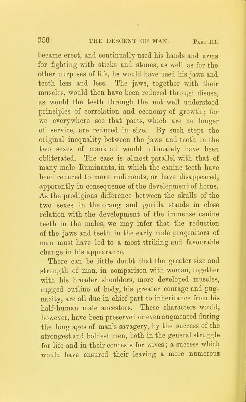 became erect, and continually used his hands and arms for fighting with sticks and stones, as well as for the other purposes of life, he would have used his jaws and teeth less and less. The jaws, together with their muscles, would then have been reduced through disuse, as would the teeth through the not well understood principles of correlation and economy of growth; for we everywhere see that parts, which are no longer of service, are reduced in size. By such steps the original inequality between the jaws and teeth in the two sexes of mankind would ultimately have been obliterated. The case is almost parallel with that of many male Euminants, in which the canine teeth have been reduced to mere rudiments, or have disappeared, apparently in consequence of the development of horns. As the prodigious difference between the skulls of the two sexes in the orang and gorilla stands in close relation with the development of the immense canine teeth in the males, we may infer that the reduction of the jaws and teeth in the early male progenitors of man must have led to a most striking and favourable change in his appearance. There can be little doubt that the greater size and strength of man, in comparison with woman, together with his broader shoulders, more developed muscles, rugged outline of body, his greater courage and pug- nacity, are all due in chief part to inheritance from his half-human male ancestors. These characters would, however, have been preserved or even augmented during the long ages of man's savagery, by the success of the strongest and boldest men, both in the general struggle for life and in their contests for wives; a success which would have ensured their leaving a more numerous