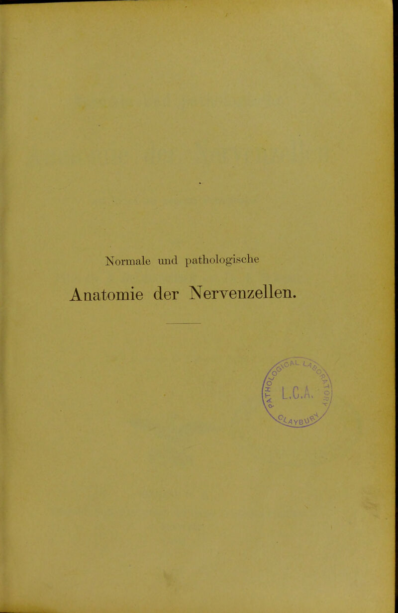 Normale und pathologische Anatomie der Nervenzellen.