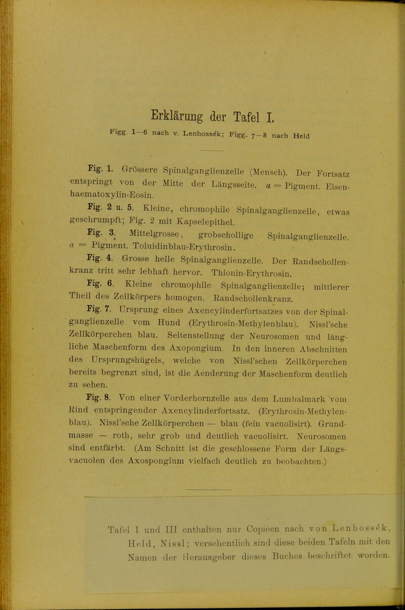 Figg. 1-6 nach v. Lenhossek; Figg. 7-8 nach Held Fig. 1. Grössere Spinalganglienzelle (Mensch). Der Fortsatz entspringt von der Mitte der Längsseite, a = Pigment. Eisen- haematoxylin-Eosin. Fig. 2 u. 5. Kleine, chromophile Spinalganglienzelle, etwas geschrumpft; Fig. 2 mit Kapselepithel. Fig. 3. Mittelgrosse, grobschollige Spinalganglienzelle. a = Pigment. Toluidinblau-Erythrosin. Fig. 4. Grosse helle Spinalganglienzelle. Der Randschollen- kranz tritt sehr lebhaft hervor. Thionin-Erythrosin. Fig. 6. Kleine chromophile Spinalganglienzelle; mittlerer Theil des Zellkörpers homogen. Randschollenkranz. Fig. 7. Ursprung eines Axencylinderfortsatzes von der Spinal- ganglienzelle vom Hund (Erythrosin-Methylenblau). Nissl'sche Zellkörperchen blau. Seitenstellung der Neurosomen und läng- liche Maschenform des Axopongium. In den inneren Abschnitten des Ursprungshügels, welche von Nissl'schen Zellkörperchen bereits begrenzt sind, ist die Aenderung der Maschenform deutlich zu sehen. Fig. 8. Von einer Vorderhornzelle aus dem Lumbaimark vom Eind entspringender Axencylinderfortsatz. (Erythrosin-Methylen- blau). Nissl'sche Zellkörperchen — blau (fein vacuolisirt). Grund- masse — roth, sehr grob und deutlich vacuolisirt. Neurosomen sind entfärbt. (Am Schnitt ist die geschlossene Form der Längs- vacuolen des Axospongium vielfach deutlich zu beobachten.) Tafel I und III enthalten nur Coi^ieen nach von Lenliossek. Held, Nissl; versehentlich, sind diese beiden Tafeln mit den Namen der Herausgeber dieses Buclies bescliriftet woi-dcn.