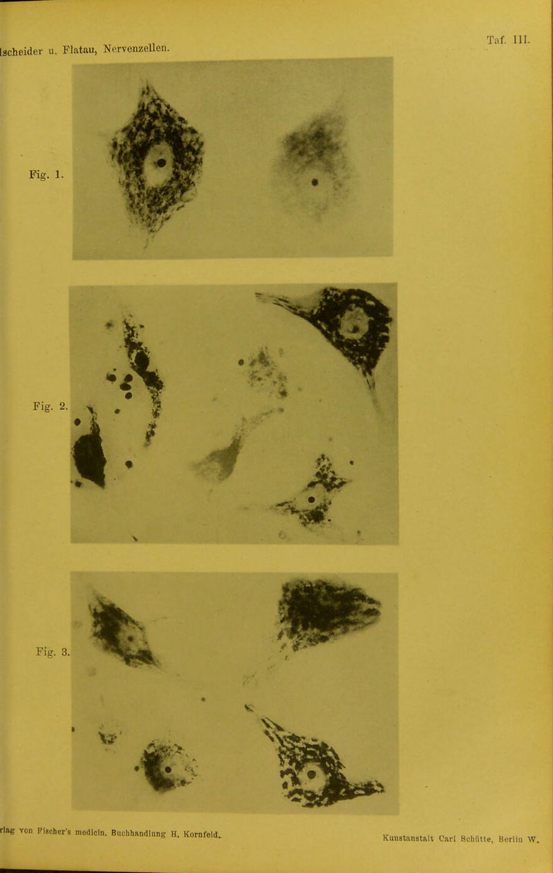 rlag von Pischer's modioin. Bnclihandlnng H. Kornfeld, Kutistanstalt Carl Schütte, Berlin W.