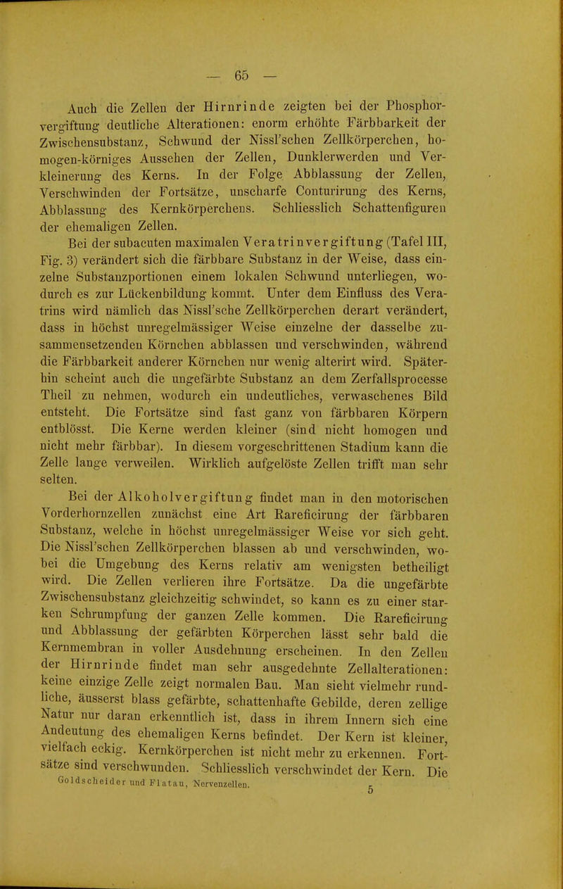 Auch die Zellen der Hirnrinde zeigten bei der Phosplior- verg-iftung- deutliche Alterationen: enorm erhöhte Färbbarkeit der Zwischensubstanz, Schwund der Nissl'schen Zellkörperchen, ho- mogen-körniges Aussehen der Zellen, Dunklerwerden und Ver- kleinerung des Kerns. In der Folge Abblassung der Zellen, Verschwinden der Fortsätze, unscharfe Conturirung des Kerns, Abblassung des Kernkörperchens. Schliesslich Schattenfiguren der ehemahgen Zellen. Bei der subacuten maximalen Veratrinvergiftung (Tafel III, Fig. 3) verändert sich die färbbare Substanz in der Weise, dass ein- zelne Substanzportionen einem lokalen Schwund unterliegen, wo- durch es zur Lückenbildung kommt. Unter dem Einfluss des Vera- trins wird nämlich das Nissl'sche Zellkörperchen derart verändert, dass in höchst unregelmässiger Weise einzelne der dasselbe zu- sammensetzenden Körnchen abblassen und verschwinden, während die Färbbarkeit anderer Körnchen nur wenig alterirt wird. Später- hin scheint auch die ungefärbte Substanz an dem Zerfallsprocesse Theil zu nehmen, wodurch ein undeutliches, verwaschenes Bild entsteht. Die Fortsätze sind fast ganz von färbbaren Körpern entblösst. Die Kerne werden kleiner (sind nicht homogen und nicht mehr färbbar). In diesem vorgeschrittenen Stadium kann die Zelle lange verweilen. Wirklich aufgelöste Zellen trifft man sehr selten. Bei der Alkoholvergiftung findet man in den motorischen Vorderhornzellen zunächst eine Art Rareficirung der färbbaren Substanz, welche in höchst unregelmässiger Weise vor sich geht. Die Nissl'schen Zellkörperchen blassen ab und verschwinden, wo- bei die Umgebung des Kerns relativ am wenigsten betheiligt wird. Die Zellen verlieren ihre Fortsätze. Da die ungefärbte Zwischensubstanz gleichzeitig schwindet, so kann es zu einer star- ken Schrumpfung der ganzen Zelle kommen. Die Rareficirung und Abblassung der gefärbten Körperchen lässt sehr bald die Kernmembran in voller Ausdehnung erscheinen. In den Zellen der Hirnrinde findet man sehr ausgedehnte Zellalterationen: keine einzige Zelle zeigt normalen Bau. Man sieht vielmehr rund- liche, äusserst blass gefärbte, schattenhafte Gebilde, deren zellige Natur nur daran erkenntlich ist, dass in ihrem Innern sich eine Andeutung des ehemaligen Kerns befindet. Der Kern ist kleiner, vielfach eckig. Kernkörperchen ist nicht mehr zu erkennen. Fort- sätze sind verschwunden. Schliesslich verschwindet der Kern. Die Goldscheider und Piatau, Nervenzellen.