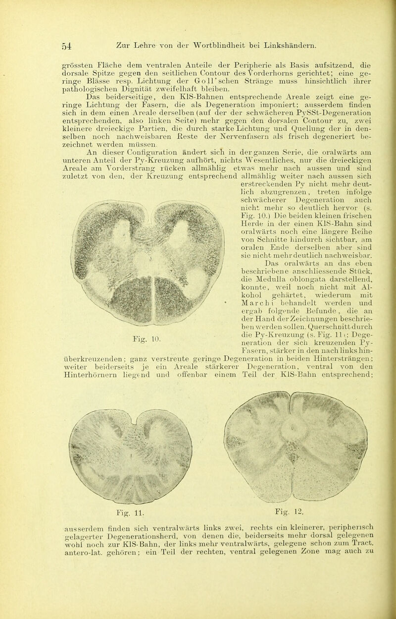 grössten Fläche dem ventralen Anteile der Peripherie als Basis aufsitzend, die dorsale Spitze gegen den seitlichen Contotir des Vorderhorns gerichtet; eine ge- ringe Blässe resp. Lichtung der Göll'sehen Stränge muss hinsichtlich ihrer pathologischen Dignität zweifelhaft bleiben. Das beiderseitige, den KlS-Bahnen entsprechende Areale zeigt eine ge- ringe Lichtung der Fasern, die als Degeneration imponiert; ausserdem finden sich in dem einen Areale derselben (aiif der der schwächeren PySSt-Degeneration entsprechenden, also linken Seite) mehr gegen den dorsalen ContoTir zu, zwei kleinere dreieckige Partien, die durch starke Lichtung und Quellung der in den- selben noch nachweisbaren ßeste der Nervenfasern als frisch degeneriert be- zeichnet werden müssen. An dieser Configuration ändert sich in der ganzen Serie, die oralwärts am unteren Anteil der Py-Kreuzung aufhört, nichts Wesentliches, nur die dreieckigen Areale am Vorderstrang rücken allmählig etwas mehr nach aussen und sind zuletzt von den, der Kreuzung entsprechend allmählig weiter nach aussen sich erstreckenden Py nicht mehr deut- lich abzugrenzen, treten infolge schwächerer Degeneration auch nicht mehr so deutlich hervor (s. Fig. 10.) Die beiden kleinen frischen Herde in der einen KlS-Bahn sind oralwärts noch eine längere E-eihe von Schnitte hindurch sichtbar, am oralen Ende derselben aber sind sie nicht mehr deutlich nachweisbar. Das oralwärts an das eben beschriebene anschliessende Stück, die Medulla oblongata darstellend, konnte, weil noch nicht mit Al- kohol gehärtet, wiederum mit March i behandelt werden und ergab folgende Befunde, die an der Hand der Zeichnungen beschrie- ben werden sollen. Querschüitt durch die Py-Kreuzung (s. Fig. Iii; Dege- neration der sich kreuzenden Py- Fasern, stärker in den nach links hin- überkreuzenden ; ganz verstreute geringe Degeneration in beiden Hintersträngen; weiter beiderseits je ein Areale stärkerer Degeneration, ventral von den Hinterhörnern liegend und offenbar einem Teil der KlS-Bahn entsprechend: Fis. lü. Fig. 11. Fig. 12. ausserdem finden sich ventralwärts links zwei, rechts ein kleinerer, peripherisch gelagerter Degenerationsherd, von denen die, beiderseits mehr dorsal gelegenen wohl noch zur KlS-Bahn, der links mehr ventralwärts, gelegene schon zum Tract. antero-lat. gehören; ein Teil der rechten, ventral gelegenen Zone mag auch zu