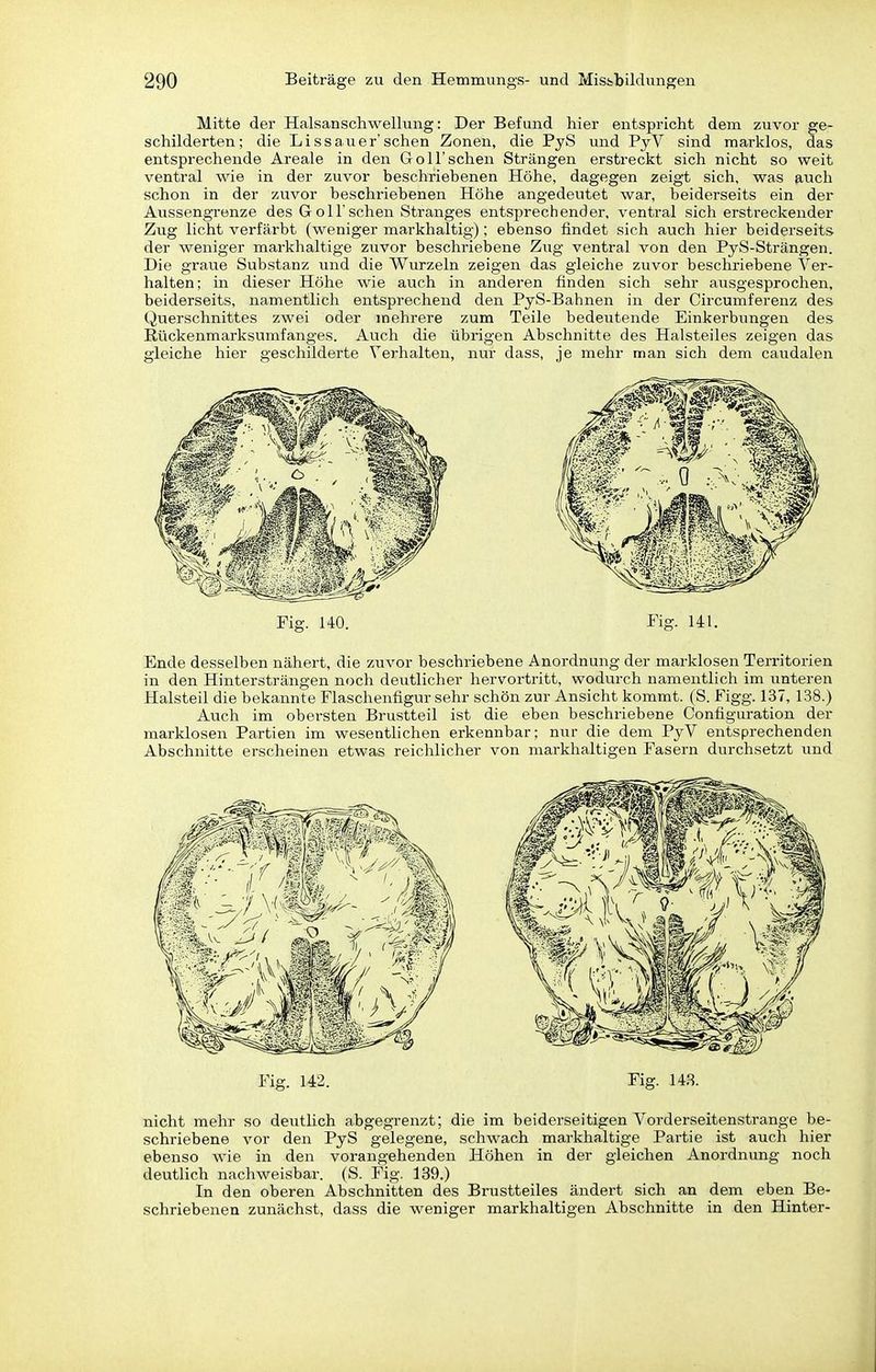 Mitte der Halsanschwellung: Der Befund hier entspricht dem zuvor ge- schilderten; die Lissauer'sehen Zonen, die PyS und PyV sind marklos, das entsprechende Areale in den Göll'sehen Strängen erstreckt sich nicht so weit ventral wie in der zuvor beschriehenen Höhe, dagegen zeigt sich, was auch schon in der zuvor beschriebenen Höhe angedeutet war, beiderseits ein der Aussengrenze des Goll'sehen Stranges entsprechender, ventral sich erstreckender Zug licht verfärbt (weniger markhaltig); ebenso findet sich auch hier beiderseits der weniger markhaltige zuvor beschriebene Zug ventral von den PyS-Strängen. Die graue Substanz und die Wurzeln zeigen das gleiche ziivor beschriebene Ver- halten; in dieser Höhe wie auch in anderen finden sich sehr ausgesprochen, beiderseits, namentlich entsprechend den PyS-Bahnen in der Cireumferenz des Qvierschnittes zwei oder mehrere zum Teile bedeutende Einkerbungen des Rückenmarksumfanges. Auch die übrigen Abschnitte des Halsteiles zeigen das gleiche hier geschilderte Verhalten, nur dass, je mehr man sich dem caudalen Fig. 140. Fig. 141. Ende desselben nähert, die zuvor beschriebene Anordnung der marklosen Territorien in den Hintersträngen noch deutlicher hervortritt, wodurch namentlich im iinteren Halsteil die bekannte Flaschenfigur sehr schön zur Ansicht kommt. (S. Figg. 137, 138.) Auch im obersten Brustteil ist die eben beschriebene Configuration der marklosen Partien im wesentlichen erkennbar; nur die dem PyV entsprechenden Abschnitte erscheinen etwas reichlicher von markhaltigen Fasern durchsetzt und Fig. 142. Fig. 143. nicht mehr so deutlich abgegrenzt; die im beiderseitigen Vorderseitenstrange be- schriebene vor den PyS gelegene, schwach markhaltige Partie ist auch hier ebenso wie in den vorangehenden Höhen in der gleichen Anordnung noch deutlich nachweisbar. (S. Fig. 139.) In den oberen Abschnitten des Brustteiles ändert sich an dem eben Be- schriebenen zunächst, dass die weniger markhaltigen Abschnitte in den Hinter-