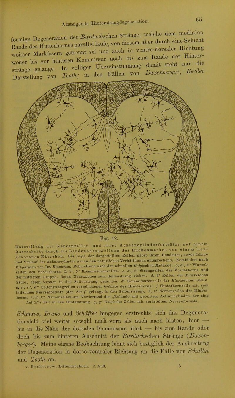 Bande des Hmterhomes Pa-e a^^, -^^''^^^^tlAors.ler Richtung weisser Markfesera getrennt sei und auch in vent ^Pd«- bis zur hinteren Kommissur noch bis zum Rande der Mintei Ttll Xge IB klüger übereinstimmuug damit steht nur die Sunt w Tootk; in den Fällen .on Da.enl,er,er, Beräe. I I I I |i I I I III Fig. 42. Darstellung der Nervenzellen und ihrer A chs en cylin der fort s ä tz e auf einem Querschnitt durch di e L e nd en ans oh w eilung des Rückenmarkes von einem neu- geborenen Kätzchen. Die Lage der dargestellten Zellen nebst ihren Dendriten, sowie Länge und Verlauf der Achsenoylinder genau den natürlichen Verhältnissen entsprechend. Kombiniert nach Präparaten von Dr. Blumenau. Behandlung nach der schnellen ffoZgischen Methode, a, a', a Wurzel- zellen des Vorderhorns. 6, 6', & Kommissurenzellen. c, c\ c Strangzellen des Vorderhorns und der mittleren Gruppe, deren Neuraxonen zum Seitenstrang ziehen, d, d' Zellen der XZarkeschen Säule, deren Axonen in den Seitenstrang gelangen, d Kommissurenzelle der X7ar7ceschen Säule, e, e', e, e' Seitenstrangzellen verschiedener Gebiete des Hinterhorns, f Hinterhornzelle mit sich teilendem Nervenfortsatz (der Ast f gelangt in den Seitenstrang), fc, 7c' Nervenzellen des Hinter- horns. 7c, 7c', 7c Nervenzellen am Vorderrand des „Eolando mit geteiltem Achsenoylinder, der eine Ast (7c) tritt in den Hinterstrang, g, g- Golgiache Zellen mit verästeltem Nervenfortsatz. Schmaus, Bruns und Schäffer hingegen erstreckte sich das Degenera- tionsfeld viel weiter sowohl nach vorn als auch nach hinten, hier — bis in die Nähe der dorsalen Kommissur, dort — bis zum Rande oder doch bis zum hinteren Abschnitt der Btirdachschen Stränge {Daxen- herger). Meine eigene Beobachtung lehnt sich bezüglich der Ausbreitung der Degeneration in dorso-ventraler Richtung an die Fälle von Schultze und Tooth an. v. Bechterew, Leitungsbahnen. 2. Aufl. 5