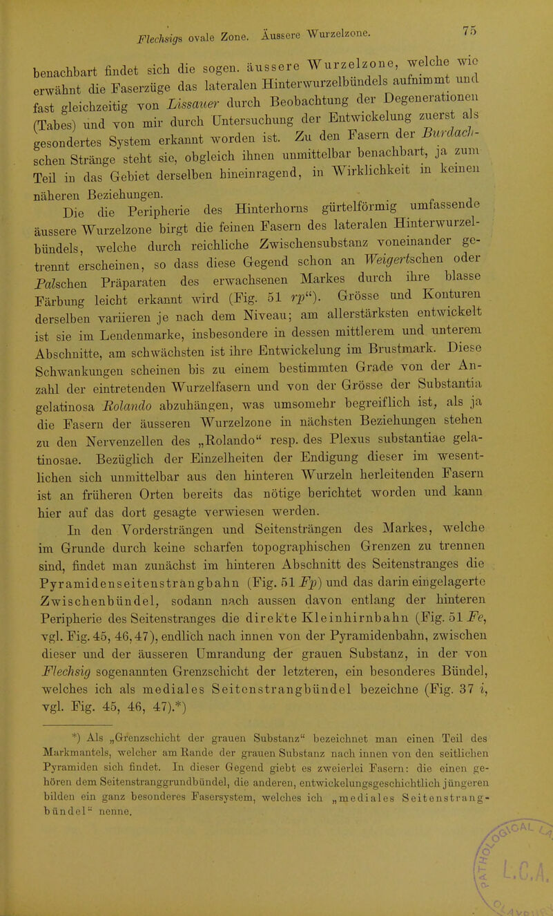 benachbart findet sich die sogen, äussere Wurzelzone, welche wie erwähnt die Faserzüge das lateralen Hinterwurzelbundels aufnimmt und fast gleichzeitig Ton Lissauer durch Beobachtung der Degenerationen (Tabes) und von mir durch Untersuchung der Entwickelung zuerst als gesondertes System erkannt worden ist. Zu den Fasern der Burdach- schen Stränge steht sie, obgleich ihnen unmittelbar benachbart, ja zum Teil in das Gebiet derselben hineinragend, in Wirklichkeit m keinen näheren Beziehungen. Die die Peripherie des Hinterhorns gürtelförmig umfassende äussere Wurzelzone birgt die feinen Fasern des lateralen Hinterwurzel- bündels, welche durch reichliche Zwischen Substanz yonemander ge- trennt erscheinen, so dass diese Gegend schon an Weigertschen oder Falschen Präparaten des erwachsenen Markes durch ihre blasse Färbimg leicht erkannt wird (Fig. 51 rp). Grösse und Konturen derselben variieren je nach dem Niveau; am allerstärksten entwickelt ist sie im Lendenmarke, insbesondere in dessen mittlerem und unterem Abschnitte, am schwächsten ist ihre Entwickelung im Brustmark. Diese Schwankungen scheinen bis zu einem bestimmten Grade von der An- zahl der eintretenden Wurzelfasern und von der Grösse der Substantia gelatinosa Rolando abzuhängen, was umsomehr begreiflich ist, als ja die Fasern der äusseren Wurzelzone in nächsten Beziehungen stehen zu den Nervenzellen des „Rolando resp. des Plexus siibstantiae gela- tinosae. Bezüglich der Einzelheiten der Endigung dieser im wesent- lichen sich unmittelbar aus den hinteren Wurzeln herleitenden Fasern ist an frühereu Orten bereits das nötige berichtet worden und kann hier auf das dort gesagte verwiesen werden. Li den Vordersträngen und Seitensträngen des Markes, welche im Grunde durch keine scharfen topographischen Grenzen zu trennen sind, findet man zunächst im hinteren Abschnitt des Seitenstranges die Pyramidenseitensträngbahn (Fig. 51 Fj)) und das darin eingelagerte Zwischenbündel, sodann nach aussen davon entlang der hinteren Peripherie des Seitenstranges die direkte Kleinhirnbahn (Fig. 51 i^e, vgl. Fig. 45, 46,47), endlich nach innen von der Pyramidenbahn, zwischen dieser und der äusseren Umrandung der grauen Substanz, in der von Flechsig sogenannten Grenzschicht der letzteren, ein besonderes Bünde], welches ich als mediales Seitcnstrangbündel bezeichne (Fig. 37 i, vgl. Fig. 45, 46, 47).*) *) Als „Grenzschicht der grauen Substanz bezeichnet man einen Teil des Markmantels, welcher am Rande der grauen Substanz nach innen von den seitlichen Pyramiden sich findet. In dieser Gegend giebt es zweierlei Fasern: die einen ge- hören dem Seitenstranggrundbündel, die anderen, entwickelungsgeschichtlich jüngeren bilden ein ganz besonderes Pasersystem, welches ich „mediales Seitenstrang- bündel nenne.