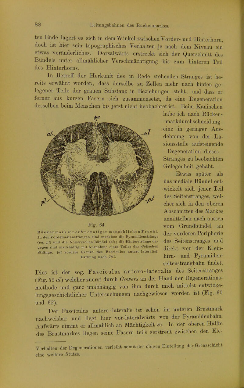 ten Ende lagert es sich in dem Winkel zwischen Vorder- und Hinterhorn, doch ist hier sein topographisches Verhalten je nach dem Niveau ein etwas veränderliches. Dorsalwärts erstreckt sich der Querschnitt des Bündels unter allmählicher Verschmächtigung bis zum hinteren Teil des Hinterhorns. In Betreff der Herkunft des in Rede stehenden Stranges ist be- reits erwähnt worden, dass derselbe zu Zellen mehr nach hinten ge- legener Teile der grauen Substanz in Beziehungen steht, und dass er ferner aus kurzen Fasern sich zusammensetzt, da eine Degeneration desselben beim Menschen bis jetzt nicht beobachtet ist. Beim Kaninchen habe ich nach Bücken- markdurchschneidung eine in geringer Aus- dehnung von der Lä- sionsstelle aufsteigende Degeneration dieses Stranges zu beobachten Gelegenheit gehabt. Etwas später als das mediale Bündel ent- wickelt sich jener Teil des Seitenstranges, wel- cher sich in den oberen Abschnitten des Markes unmittelbar nach aussen vom Grundbündel au der vorderen Peripherie des Seitenstranges und direkt vor der Klein- hirn- und Pyramiden- seitenstrangbahn findet. Dies ist der sog. Fasciculus antero-lateralis des Seitenstranges (Fig. 59 al) welcher zuerst durch Oowers an der Hand der Degenerations- methode und ganz unabhängig von ihm durch mich mittelst entwicke- lungsgeschichtlicher Untersuchungen nachgewiesen worden ist (Fig. 60 und 62). Der Fasciculus antero-lateralis ist schon im unteren Brustmark nachweisbar und liegt hier vor-lateralwärts von der Pyramidenbahn. Aufwärts nimmt er allmählich an Mächtigkeit zu. In der oberen Hälfte des Brustmarkes liegen seine Fasern teils zerstreut zwischen den Ele- Fig. 64. Bückenmark einer Smonatigen menschlichen Frucht. In den Vorderseitensträngen sind marklos: die Pyramidenstränge (jja, pl) und die Gowersschen Bündel (a!); die Hinterstränge da- gegen sind markhaltig mit Ausnahme eines Teiles der GoHschen Stränge, {al vordere Grenze des I'asciculus antero-lateralis). Färbung nach Fol. Verhalten der Degenerationen verleiht somit der obigen Einteilung der Grenz; eine weitere Stütze.