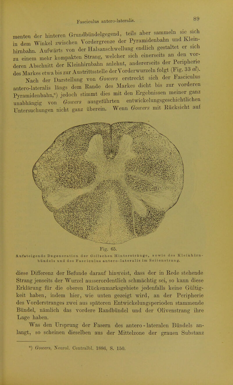 Fasciculus antero-lateralis. menten der hinteren Grundbündelgegend, teils aber sammeln sie sich in dem Winkel zwischen Vordergrenze der Pyramidenbahn und Klem- hirnbahn. Aufwärts von der Halsanschwelkmg endlich gestaltet er sich zu einem mehr kompakten Strang, welcher sich einerseits an den vor- deren Abschnitt der Kleinhirnbahn anlehnt, andererseits d^r Penphene des Markes etwa bis zur Austrittsstelle der Vorderwurzeln folgt (Fig. 36 ai). Nach der Darstellung von Goiuers erstreckt sich der Fasciculus antero-lateralis längs dem Eande des Markes dicht bis zur vorderen Pyramidenbahn,*) jedoch stimmt dies mit den Ergebmssen meiner ganz unabhängig von Goiuers ausgeführten entwickelungsgeschichtlichen Untersuchimgen nicht ganz überein. Wenn Goiuers mit Rücksicht auf Aufsteigende D bü Fig. 65. de Degeneration der ffoHs chen Hinterstränge, sowie des Kleinhirn- ündels und des Fasciculus antero-lateralis im Seitenstrang. diese Differenz der Befunde darauf hinweist, dass der in Rede stehende Strang jenseits der Wurzel ausserordentlich schmächtig sei, so kann diese Erklärung für die oberen Rückenmarksgebiete jedenfalls keine Gültig- keit haben, indem hier, wie unten gezeigt wird, an der Peripherie des Vorderstranges zwei aus späteren Entwickelungsperioden stammende Bündel, nämlich das vordere Randbündel und der Olivenstrang ihre Lage haben. Was den Ursprung der Fasern des antero - lateralen Bündels an- langt, so scheinen dieselben aus der Mittelzone der grauen Substanz *) Goivers, Neurol. Centrall)!. 1886, S. 150.