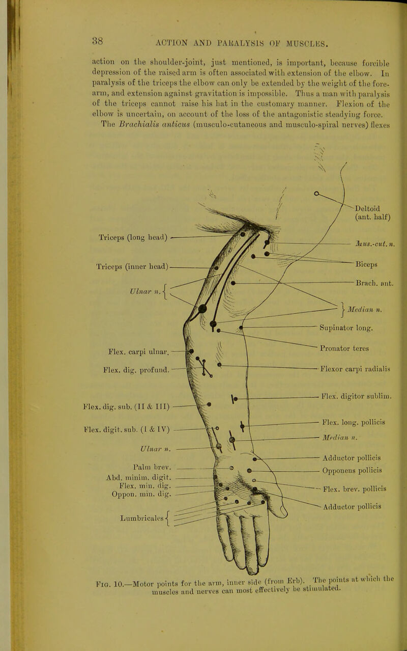 action on the shoulder-joint, just, mentioned, its important, because forcible depression of the raised arm is often associated witli extension of the elbow. In paralysis of the triceps the elbow can only be extended by the weight of the fore- arm, and extension against gravitation is impossible. Thus a man with paralysis of the triceps cannot raise his hat in the customary manner. Flexion of the elbow is uncertain, on account of the loss of the antagonistic steadying force. The Brachialis anticus (musculo-cutanepus and musculo-spiral nerves) Ilexes Triceps (long head) Triceps (inner bead) Ulna?' n. Flex, carpi ulnar. Flex. dig. profund. Flex. dig. sub. (II & III) Flex, digit, sub. (I & IV) Ulnar ». Palm brev. Abd. minim, digit. Flex. min. dig. Oppon. min. dig. Lumbricales ales ^ Deltoid (ant. half) ]kus.-cut. n. Biceps Brach. ant. | Median n. Supinator long. Pronator teres Flexor carpi radial is Klex. digitor subliin. Flex. long, pollicis Median n. Adductor pollicis Opponeus pollicis Flex. brev. pollicis Adductor pollicis PIG. lO.-Motor points for the arm, inner side (Iron, Erb) The points at which the muscles and nerves can most effectively be stimulated.