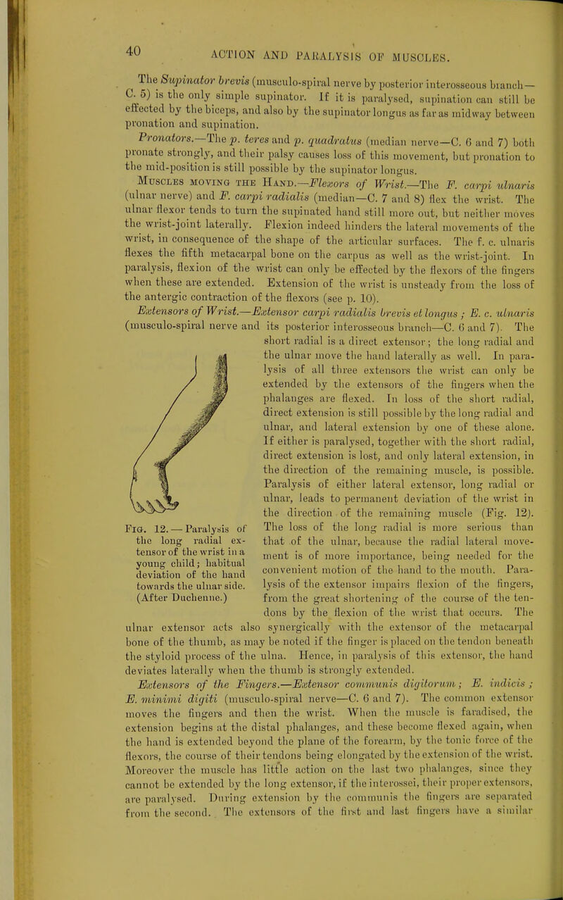 ^ The Supinator brevis (inusculo-spiral nerve by posterior interosseous branch— C. 5) is the only simple supinator. If it is paralysed, supination can still be effected by the biceps, and also by the supinator longus as far as midway between pronation and supination. Pronators.—The p. teres and p. quadrakis (median nerve—C. 6 and 7) both pronate strongly, and their palsy causes loss of this movement, but pronation to the mid-position is still possible by the supinator longus. Muscles moving the Hand.—Flexors of Wrist—The F. carpi ulnaris (ulnar nerve) and F. carpi radialis (median—C. 7 and 8) flex the wrist. The ulnar flexor tends to turn the supinated hand still more out, but neither moves the wrist-joint laterally. Flexion indeed hinders the lateral movements of the wrist, in consequence of the shape of the articular surfaces. The f. c. ulnaris flexes the fifth metacarpal bone on the carpus as well as the wrist-joint. In paralysis, flexion of the wrist can only be effected by the flexors of the fingers when these are extended. Extension of the wrist is unsteady from the loss of the antergic contraction of the flexors (see p. 10). Extensors of Wrist.—Extensor carpi radialis brevis et longus ; E. c. ulnaris (inusculo-spiral nerve and its posterior interosseous branch—C. 6 and 7). The short radial is a direct extensor; the long radial and the ulnar move the hand laterally as well. In para- lysis of all three extensors the wrist can only be extended by the extensors of the fingers when the phalanges are flexed. In loss of the short radial, direct extension is still possible by the long radial and ulnar, and lateral extension by one of these alone. If either is paralysed, together with the short radial, direct extension is lost, and only lateral extension, in the direction of the remaining muscle, is possible. Paralysis of either lateral extensor, long radial or ulnar, leads to permanent deviation of the wrist in the direction of the remaining muscle (Fig. 12). The loss of the long radial is more serious than that of the ulnar, because the radial lateral move- ment is of more importance, being needed for the convenient motion of the hand to the mouth. Para- lysis of the extensor impairs llexion of the fingers, from the great shortening of the course of the ten- dons by the flexion of the wrist that occurs. The ulnar extensor acts also synergically with the extensor of the metacarpal bone of the thumb, as may be noted if the finger is placed on the tendon beneath the styloid process of the ulna. Hence, in paralysis of this extensor, the hand deviates laterally when the thumb is strongly extended. Extensors of the Fingers.—Extensor communis digitorum; E. indicis j E. minimi digiti (musculo-spiral nerve—C. 6 and 7). The common extensor moves the fingers and then the wrist. When the muscle is faradised. the extension begins at the distal phalanges, and these become flexed again, when the hand is extended beyond the plane of the forearm, by the tonic force of the flexors, the course of their tendons being elongated by the extension of the wrist. Moreover the muscle has little action on the last two phalanges, since they cannot be extended by the long extensor, if the interossei, their proper extensors, are paralysed. During extension by the communis the fingers are separated from the second. The extensors of the first and last fingers have a similar Fig. 12. — Paralysis of the long radial ex- tensor of the wrist in a young child; habitual deviation of the hand towards the ulnar side. (After Duchenne.)