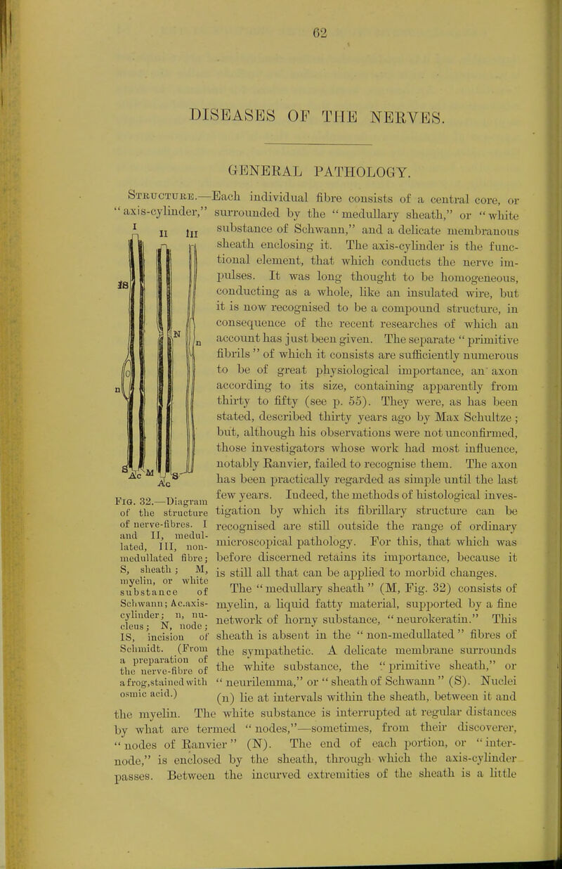 DISEASES OF THE NERVES. GENERAL PATHOLOGY. ii In is I Structure.— Each individual fibre consists of a central core, or axis-cylinder, surrounded by tlie medullary sheath, or white substance of Schwann, and a delicate membranous sheath enclosing it. The axis-cylinder is the func- tional element, that which conducts the nerve im- pulses. It was long thought to be homogeneous, conducting as a whole, like an insulated wire, but it is now recognised to be a compound structure, in consequence of the recent researches of which an account has just been given. The separate  primitive fibrils  of which it consists are sufficiently numerous to be of great physiological importance, an' axon according to its size, containing apparently from thirty to fifty (see p. 55). They were, as has been stated, described thirty years ago by Max Schultze ; but, although his observations were not unconfirmed, those investigators whose work had most influence, notably Ranvier, failed to recognise them. The axon has been practically regarded as simple until the last few years. Indeed, the methods of histological inves- tigation by which its fibrillary structure can be recognised are still outside the range of ordinary microscopical pathology. For this, that which was before discerned retains its importance, because it is still all that can be applied to morbid changes. The medullary sheath  (M, Fig. 32) consists of myelin, a liquid fatty material, supported by a fine network of horny substance, neurokeratin. This sheath is absent in the  non-medullated  fibres of A delicate membrane surrounds Lerve-fibre of the white substance, the  primitive sheath. or afrog,stained with  neurilemma, or  sheath of Schwann  (S). Nuclei osmic acid.) ^ ^ at intervals within the sheath, between il ami the myelin. The white substance is interrupted at regular distances by what are termed nodes,—sometimes, from their discoverer, nodes of Ranvier (1ST). The end of each portion, or inter- node, is enclosed by the sheath, through which the axis-cylinder passes. Between the incurved extremities of the sheath is a little Fig. 32.—Diagram of the structure of nerve-fibres. I and II, medul- lated, III, non- medullated fibre; S, sheath; M, myelin, or white substance of Schwann; Ac.axis- cylinder; n, nu- cleus ; N, node; IS, incision of Schmidt. (From t}ie sympathetic, a preparation of