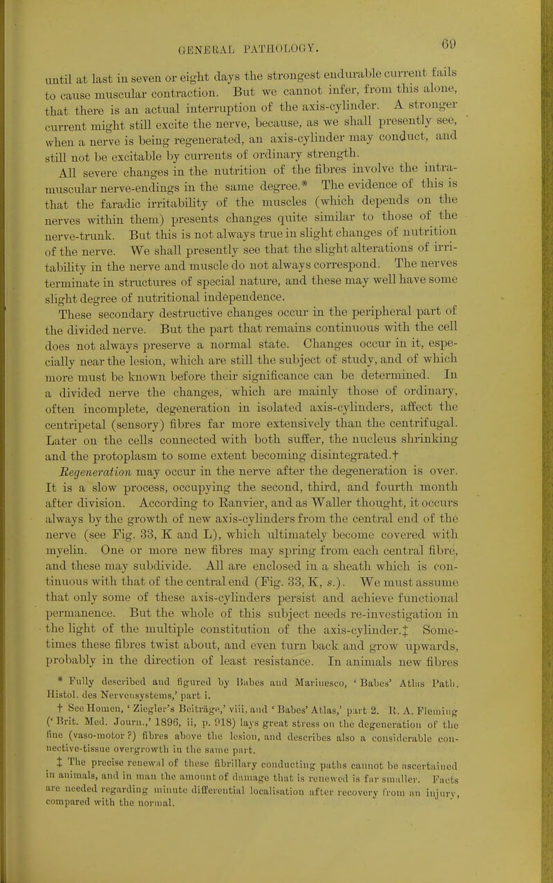 60 until at last in seven or eight clays the strongest endurable current fails to cause muscular contraction. But we cannot infer, from this alone, that there is an actual interruption of the axis-cylinder. A stronger current might still excite the nerve, because, as we shall presently see, when a nerve is being regenerated, an axis-cylinder may conduct, and still not be excitable by currents of ordinary strength. All severe changes in the nutrition of the fibres involve the intra- muscular nerve-endings in the same degree.* The evidence of this is that the faradic irritability of the muscles (which depends on the nerves within them) presents changes quite similar to those of the nerve-trunk. But this is not always true in slight changes of nutrition of the nerve. We shall presently see that the slight alterations of irri- tability in the nerve and muscle do not always correspond. The nerves terminate in structures of special nature, and these may well have some slight degree of nutritional independence. These secondary destructive changes occur in the peripheral part of the divided nerve. But the part that remains continuous with the cell does not always preserve a normal state. Changes occur in it, espe- cially near the lesion, which are still the subject of study, and of which more must be known before their significance can be determined. In a divided nerve the changes, which are mainly those of ordinary, often incomplete, degeneration in isolated axis-cylinders, affect the centripetal (sensory) fibres far more extensively than the centrifugal. Later on the cells connected with both suffer, the nucleus shrinking and the protoplasm to some extent becoming disintegrated.f Regeneration may occur in the nerve after the degeneration is over. It is a slow process, occupying the second, third, and fourth month after division. According to Ranvier, and as Waller thought, it occurs always by the growth of new axis-cylinders from the central end of the nerve (see Fig. 33, K and L), which ultimately become covered with myelin. One or more new fibres may spring from each central fibre, and these may subdivide. All are enclosed in a sheath which is con- tinuous with that of the central end (Fig. 33, K, s.). We must assume that only some of these axis-cylinders persist and achieve functional permanence. But the whole of this subject needs re-investigation in the light of the multiple constitution of the axis-cylinder.^ Some- times these fibres twist about, and even turn back and grow upwards, probably in the direction of least resistance. In animals new fibres * Fully described and figured by Babes and Marinesco, 'Babes' Atlas Path. Histol. des Nervensystems,' part i. t See Homen, ' Ziegler's Beitrage,' viii, and ' Babes' Atlas,' part 2. R. A. Fleming ('Brit. Med. Journ.,' 1896, ii, p. 918) lays great stress on the degeneration of the fine (vaso-motor ?) fibres above the lesion, and describes also a considerable con- nective-tissue overgrowth in the same part. $ The precise renewal of these fibrillary conducting paths cannot be ascertained in animals, and in man the amount of damage that is renewed is far smaller. Facts are needed regarding minute differential localisation after recovery Irora an injury, compared with the normal.