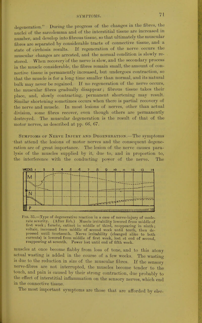 degeneration. During the progress of the changes in the fibres, the nuclei of the sarcolemrna and of the interstitial tissue are increased in number, and develop into fibrous tissue, so that ultimately the muscular fibres are separated by considerable tracts of connective tissue, and a state of cirrhosis results. If regeneration of the nerve occurs the muscular changes are arrested, and the normal condition is slowly re- stored. When recovery'of the nerve is slow, and the secondary process in the muscle considerable, the fibres remain small, the amount of con- nective tissue is permanently increased, but undergoes contraction, so that the muscle is for a long time smaller than normal, and its natural bulk may never be regained. If no regeneration of the nerve occurs, the muscular fibres gradually disappear; fibrous tissue takes their place, and, slowly contracting, permanent shortening may result. Similar shortening sometimes occurs when there is partial recovery of the nerve and muscle. In most lesions of nerves, other than actual division, some fibres recover, even though others are permanently destroyed. The muscular degeneration is the result of that of the motor nerves, as described at pp. 66, 67. Symptoms of Nerve Injury and Degeneration.—The symptoms that attend the lesions of motor nerves and the consequent degene- ration are of great importance. The lesion of the nerve causes para- lysis of the muscles supplied by it, due to, and in proportion to, the interference with the conducting power of the nerve. The WEEKS I 2 3 4 3 6 , 7 8 9 K> ii 12 13 14 M 4 7 * II P iiiiiiiiu UI1L111II lliilllll mum ir i mil iililliilll Fig. 35.—Type of degenerative reaction in a case of nerve-injury of mode- rate severity. (After Erb.) Muscle irritability lowered from middle of first week; faradic, extinct in middle of third, reappearing in ninth; voltaic, increased from middle of second week until tenth, then de- pressed until fourteenth. Nerve irritability (changed alike to both currents) is lowered from middle of first week, lost at end of second, reappearing at seventh. Power lost until end of fifth week. muscles at once become flabby from loss of tone, and to this atony actual wasting is added in the course of a few weeks. The wasting is due to the reduction in size of the muscular fibres. If the sensory nerve-fibres are not interrupted, the muscles become tender to the touch, and pain is caused by their strong contraction, due probably to the effect of interstitial inflammation on the sensory nerves, which end in the connective tissue. The most important symptoms are those that are afforded by elec-