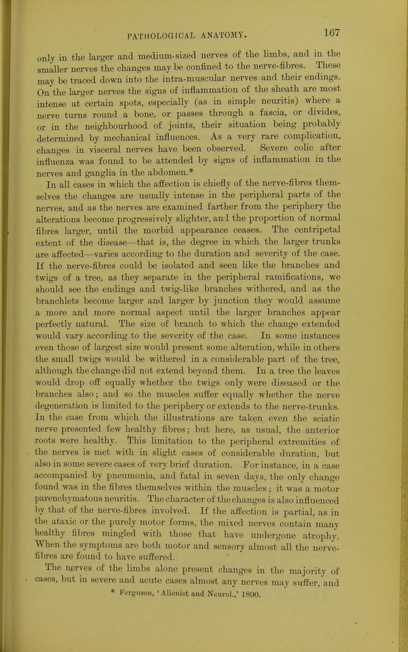 only in the larger and medium-sized nerves of the limbs, and in the smaller nerves the changes may be confined to the nerve-fibres. These may be traced down into the intra-muscular nerves and their endings. On the larger nerves the signs of inflammation of the sheath are most intense at certain spots, especially (as in simple neuritis) where a nerve turns round a bone, or passes through a fascia, or divides, or in the neighbourhood of joints, their situation being probably determined by mechanical influences. As a very rare complication, changes in visceral nerves have been observed. Severe colic after influenza was found to be attended by signs of inflammation in the nerves and ganglia in the abdomen.* In all cases in which the affection is chiefly of the nerve-fibres them- selves the changes are usually intense in the peripheral parts of the nerves, and as the nerves are examined farther from the periphery the alterations become progressively slighter, an l the proportion of normal fibres larger, until the morbid appearance ceases. The centripetal extent of the disease—that is, the degree in which the larger trunks are affected—varies according to the duration and severity of the case. If the nerve-fibres could be isolated and seen like the branches and twigs of a tree, as they separate in the peripheral ramifications, we should see the endings and twig-like branches withered, and as the branchlets become larger and larger by junction they would assume a more and more normal aspect until the larger branches appear perfectly natural. The size of branch to which the change extended would vary according to the severity of the case. In some instances even those of largest size would present some alteration, while in others the small twigs would be withered in a considerable part of the tree, although the change did not extend beyond them. In a tree the leaves would drop off equally whether the twigs only were diseased or the branches also; and so the muscles suffer equally whether the nerve degeneration is limited to the periphery or extends to the nerve-trunks. In the case from which the illustrations are taken even the sciatic nerve presented few healthy fibres; but here, as usual, the anterior roots were healthy. This limitation to the peripheral extremities of the nerves is met with in slight cases of considerable duration, but also in some severe cases of very brief duration. For instance, in a case accompanied by pneumonia, and fatal in seven days, the only change found was in the fibres themselves within the muscles ; it was a motor parenchymatous neuritis. The character of the changes is also influenced by that of the nerve-fibres involved. If the affection is partial, as in the ataxic or the purely motor forms, the mixed nerves contain many healthy fibres mingled with those that have undergone atrophy. When the symptoms are both motor and sensory almost all the nerve- fibres are found to have suffered. The nerves of the limbs alone present changes in the majority of cases, but in severe and acute cases almost any nerves may suffer, and * Ferguson, 'Alienist and Neurol.,' 1890.