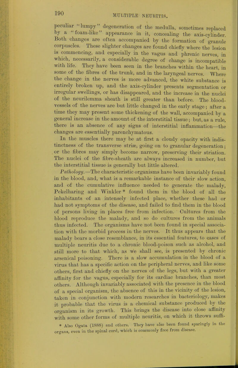 MULTIPLE NEURITIS. peculiar lumpy degeneration of the medulla, sometimes replaced by a foam-like appearance in it, concealing the axis-cylinder. Both changes are often accompanied by the formation of granule corpuscles. These slighter changes are found chiefly where the lesion is commencing, and especially in the vagus and phrenic nerves, in which, necessarily, a considerable degree of change is incompatible with life. They have been seen in the branches within the heart, in some of the fibres of the trunk, and in the laryngeal nerves. Where the change in the nerves is more advanced, the white substance is entirely broken up, and the axis-cylinder presents segmentation or irregular swellings, or has disappeared, and the increase in the nuclei of the neurilemma sheath is still greater than before. The .blood- vessels of the nerves are but little changed in the early stage ; after a time they may present some thickening of the wall, accompanied by a general increase in the amount of the interstitial tissue; but, as a rule, there is an absence of any signs of interstitial inflammation—the changes are essentially parenchymatous. In the muscles there may be at first a cloudy opacity with indis- tinctness of the transverse striae, going on to granular degeneration; ,or the fibres may simply become narrow, preserving their striation. The nuclei of the fibre-sheath are always increased in number, but the interstitial tissue is generally but little altered. Pathology.—The characteristic organisms have been invariably found in the blood, and, what is a remarkable instance of their slow action, and of the cumulative influence needed to generate the malady, Pekelharing and Winkler * found them in the blood of all the inhabitants of an intensely infected place, whether these had or had not symptoms of the disease, and failed to find them in the blood of persons living in places free from infection. Cultures from the blood reproduce the malady, and so do cultures from the animals thus infected. The organisms have not been found in special associa- tion with the morbid process in the nerves. It thus appears that the malady bears a close resemblance, in its essential features, to cases of multiple neuritis due to a chronic blood-poison such as alcohol, and still more to that which, as we shall see, is presented by chronic arsenical poisoning. There is a slow accumulation in the blood of a virus that has a specific action on the peripheral nerves, and like some others, first and chiefly on the nerves of the legs, but with a greater affinity for the vagus, especially for its cardiac branches, than most others. Although invariably associated with the presence in the blood of a special organism, the absence of this in the vicinity of the lesion, taken in conjunction with modern researches in bacteriology, makes it probable that the virus is a chemical substance produced by the organism in its growth. This brings the disease into close affinity with some other forms of multiple neuritis, on which it throws suffi- * Also Ogata (1888) and others. They have also been found sparingly in the organs, even in the spinal cord, which is commonly free from disease.