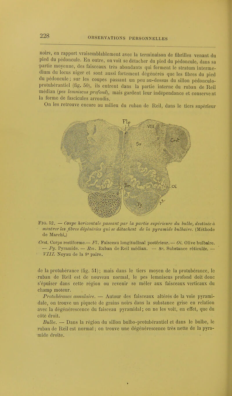 OISSEHVATIONS PERSONNELLES noirs, on rapport vraisemblablement avec. La terminaison de fibrilles venant du pied du pédoncule. En outre, on voit se détacher du pied du pédoncule, dans sa partie moyenne, des faisceaux très abondants qui formenl le stratum interme- dium du locus niger et sont aussi fortement dégénérés que les libres du pied du pédoncule; sur les coupes passant un peu au-dessus du sillon pédoneulo- protubérantiel (fîg. 50), ils entrent dans la partie interne du ruban de Reil médian {pes lemniscus profond), mais gardent leur indépendance et conservent la forme de fascicules arrondis. On les retrouve encore au milieu du ruban de Reil, dans le tiers supérieur FiG. 52. — Coupe horizontale passant par la partie supérieure du bulbe, destinée à montrer les fibres dégénérées qui se détachent de la pyramide bulbaire. (Méthode de Marehi.) Crst. Corps restiforme.— Fl. Faisceau longitudinal postérieur.— Oi. Olive bulbaire. — Py. Pyramide. — Rm. Euban de Reil médian. — Sr. Substance réticulée. — VIII. Noyau de la 8° paire. de la protubérance (fig. 51) ; mais dans le tiers moyen de la protubérance, le ruban de Reil est de nouveau normal, le pes lemniscus profond doit donc s'épuiser dans cette région ou revenir se mêler aux faisceaux verticaux du champ moteur. Protubérance annulaire. — Autour des faisceaux altérés de la voie pyrami- dale, on trouve un piqueté de grains noirs dans la substance grise en relation avec la dégénérescence du faisceau pyramidal; on no les voit, en effet, que du côté droit. Bulbe. — Dans la région du sillon bulbo-protubérantiel et dans le bulbe, le ruban de Reil est normal ; on trouve une dégénérescence très nette de la pyra- mide droite.