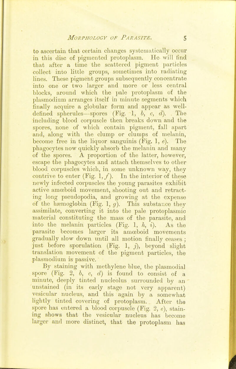 Morphology of Parasite. S to ascertain that certain changes systematically occur in this disc of pigmented protojalasm. Ho will find that after a time the scattered pigment particles collect into little groups, sometimes into radiating lines. These pigment groups subsequently concentrate into one or two larger and more or less central blocks, around which the pale protoplasm of the Plasmodium arranges itself in minute segments which finally acquire a globular form and appear as well- defined spherules—spores (Fig. 1, 6, c, d). , The including blood corpuscle then breaks down and the spores, none of which contain pigment, fall apart and, along with the clump or clumps of melanin, become free in the liquor sanguinis (Fig. 1, e). The phagocytes now quickly absorb the melanin and many of the spores. A proportion of the latter, however, escape the phagocytes and attach themselves to other blood corpuscles which, in some unknown way, they contrive to enter (Fig. 1,/). In the interior of these newly infected corpuscles the young parasites exhibit active amoeboid movement, shooting out and retract- ing long pseudopodia, and growing at the expense of the ha3moglobin (Fig. 1, g). This substance they assimilate, converting it into the pale protoplasmic material constituting the mass of the parasite, and into the melanin particles (Fig. 1, 7i, i). As the parasite becomes larger its amoeboid movements gradually slow down until all motion finally ceases ; just before sporulation (Fig. 1, j), beyond slight translation movement of the pigment particles, the Plasmodium is passive. By staining with methylene blue, the plasmodial spore (Fig. 2, 6, c, d) is found to consist of a minute, deeply tinted nucleolus surrounded by an unstained (in its early stage not very apparent) vesicular nucleus, and this again by a somewhat lightly tinted covering of protoplasm. After the spore has entered a blood corpuscle (Fig. 2, e), stain- ing shows that the vesicular nucleus has become larger and more distinct, that the protoplasm has