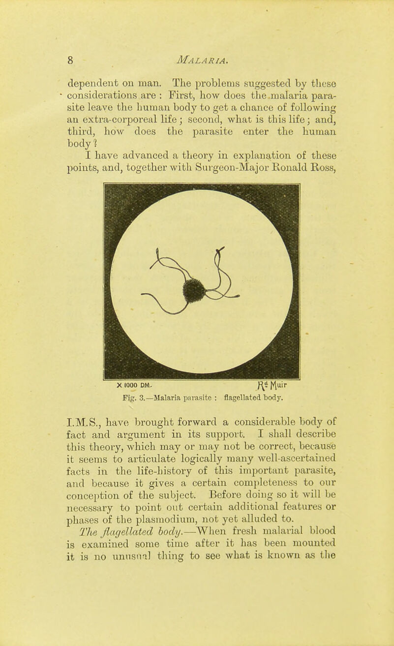 dependent on man. The problems suggested by these considerations are ; First, how does tlie .malaria para- site leave the human body to get a chance of following an extra-corporeal life; second, what is this life; and, third, how does the parasite enter the human body^ I have advanced a theory in explanation of these points, and, together with Surgeon-Major Ronald Ross, X (000 DM. f\i |V|uir Fig. 3.—Malaria parasite : flagellated body. I.M..S., have brought forward a considerable body of fact and argument in its support. I shall describe this theory, which may or may not be correct, because it seems to articulate logically many well-ascertained facts in the life-history of this important parasite, and because it gives a certain completeness to our conception of the subject. Before doing so it will be necessary to point out certain additional features or phases of the plasmodium, not yet alluded to. The flagellated body.—When fresh malarial blood is examined some time after it has been mounted it is no unusual thing to see what is known as tlio