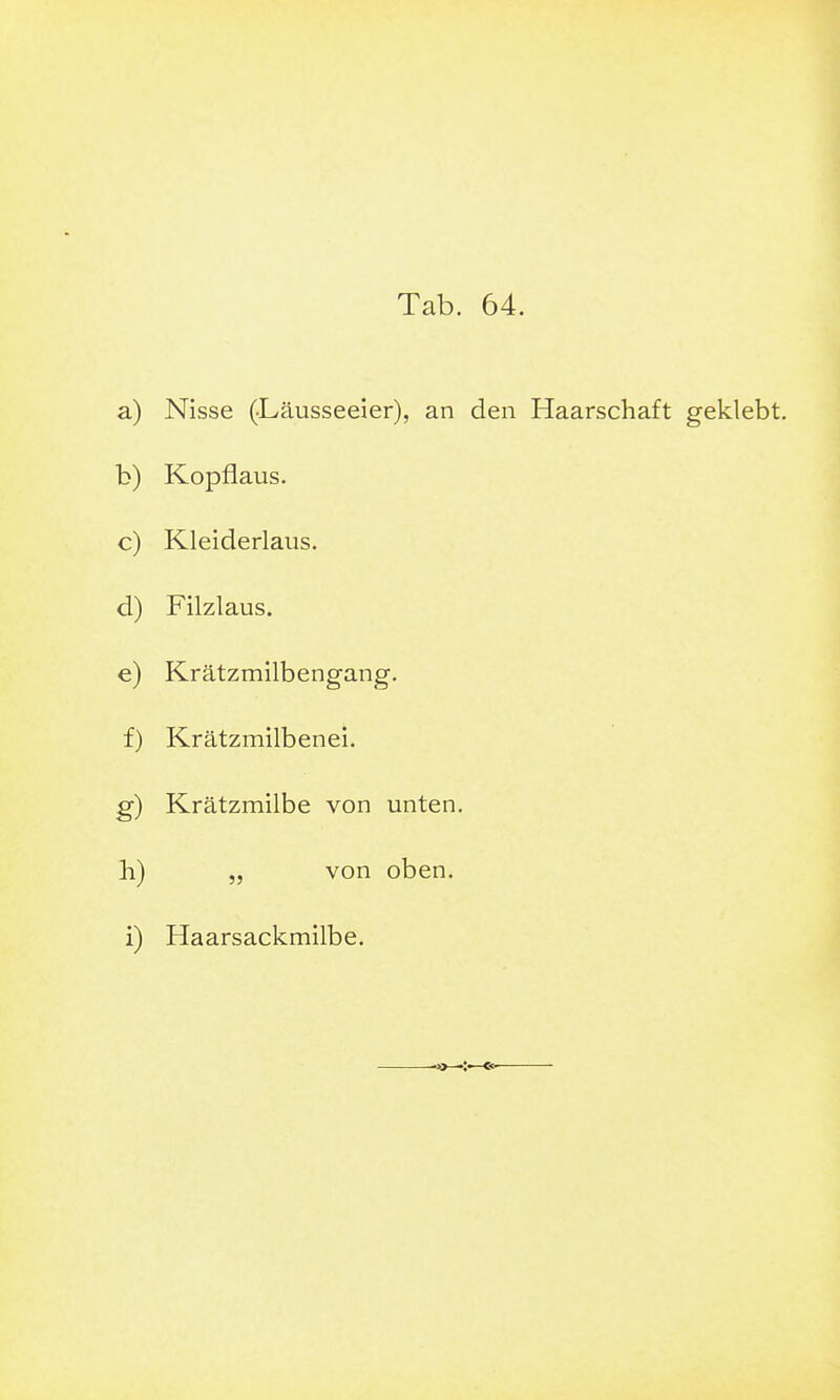 a) Nisse (.Läusseeier), an den Haarschaft geklebt. b) Kopflaus. c) Kleiderlaus. d) Filzlaus. e) Krätzmilbengang. f) Krätzmilbenei. g) Krätzmilbe von unten, b) „ von oben, i) Haarsackmilbe.