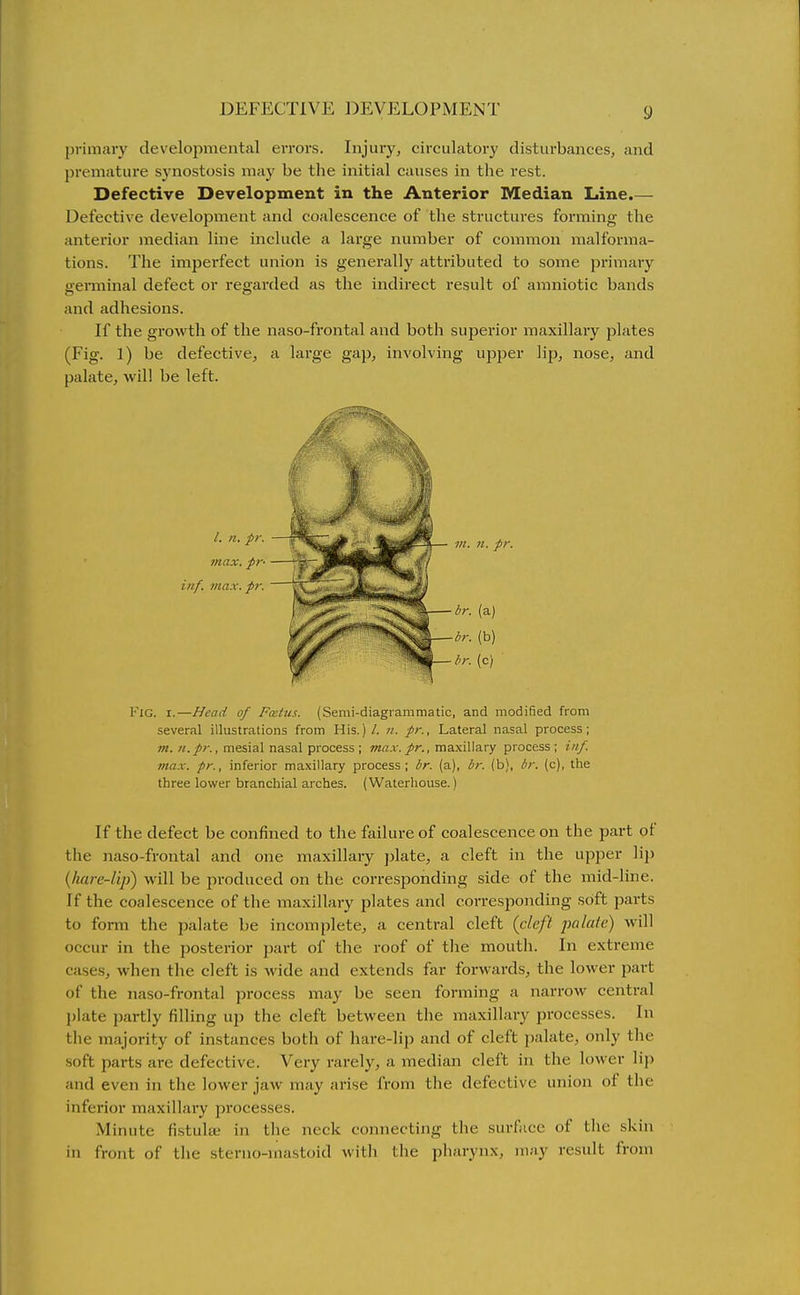 DEFECTIVE DEVELOPMENT y primary developmental errors. Injury, circulatory disturbances, and premature sj'nostosis may be the initial causes in the rest. Defective Development in the Anterior Median Line.— Defective development and coalescence of the structiu'es forming the anterior median line include a large number of common malforma- tions. The imperfect union is generally attributed to some primary geiTninal defect or regarded as the indirect result of amniotic bands and adhesions. If the growth of the naso-frontal and both superior maxillary plates (Fig. 1) be defective, a large gap, involving upper lip, nose, and palate, will be left. Fig. I.—Head of Fcetus. (Semi-diagrammatic, and modified from several illustrations from His.) /. n. pr.. Lateral nasal process; m. n.pK, mesial nasal process ; max. pr., maxillary process; i»f. max. pr., inferior maxillary process; br. (a), br. (b), br. (c), the three lower branchial arches. (Waterhouse.) If the defect be confined to the failure of coalescence on the part of the naso-frontal and one maxillary plate, a cleft in the upper lip {hare-lip) will be produced on the corresponding side of the mid-line. If the coalescence of the maxillary plates and corresponding soft parts to fornti the palate be incomplete, a central cleft {cleft palate) will occur in the posterior part of the roof of the mouth. In extreme cases, when the cleft is wide and extends far forwards, the lower part of the naso-frontal process may be seen forming a narrow central l)late partly filling up the cleft between the maxillary processes. In the majority of instances both of hare-lip and of cleft palate, only the soft parts are defective. Very rarely, a median cleft in the lower lij) and even in the lower jaw may arise from the defective union of the inferior maxillary processes. Minute fistula; in the neck connecting the surface of the skin in front of the sterno-inastoid with the pharynx, may result from