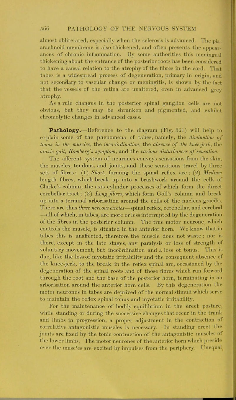 almost obliterated, espeeially when the sclerosis is advanced. The pia- araehnoid membrane is also thickened, and often presents the aj)pear- ances of chronic inflammation. By some authorities this meningeal thickening about the entrance of the posterior roots has been considered to have a causal relation to the atrophy of the fibres in the cord. That tabes is a widespread process of degeneration, primary in origin, and not secondary to vascular change or meningitis, is shown by the fact that the vessels of the retina are unaltered, even in advanced grey atrophy. As a rule changes in the posterior sjnnal ganglion cells are not ob\ious, but they may be shrunken and pigmented, and exhibit chroniolytic changes in advanced cases. Pathology.—Reference to the diagram (Fig. 321) will help to explain some of the phenomena of tabes, namely, the dimmulion of tonus in the muscles, the inco-drdination, the absence of the knee-jerk, tlie ataxic gait, Romberg s sym-ptom, and the various disturbances of sensation. The afferent system of neurones conveys sensations from the skin, the muscles, tendons, and joints, and these sensations travel b_v three sets of fibres: (1) Short, forming the spinal reflex arc; (2) Medium length fibres, which break up into a brushwork around the cells of Clarke's column, the axis cylinder processes of which form the direct cerebellar tract; (3) Low^^^Sre-.v, which form Goll's column and break up into a terminal arborisation around the cells of the nucleus gracilis. There are thus three nervous circles—spinal reflex, cerebellar, and cerebral —all of which, in tabes, ai-e more or less interrupted by the degeneration of the fibres in the posterior column. The true motor neurone, which controls the muscle, is situated in the anterior hoi-n. We know that in tabes this is unaffected, therefore the muscle does not waste ; nor is there, except in the late stages, any paralysis or loss of strength of voluntary movement, but incoordination and a loss of tonus. This is due, like the loss of myotatic irritability and the consequent absence cf the knee-jerk, to the break in the reflex spinal arc, occasioned by the degeneration of the spinal roots and of those fibres which run forward through the root and the base of the posterior horn, terminating in an arborisation around the anterior horn cells. By this degeneration the motor neurones in tabes are deprived of the normal stimuli which serve to maintain the reflex spinal tonus and myotatic irritability. F'or the maintenance of bodily equilibrium in the ei'ect posture, while standing or during the successive changes that occur in the trunk and limbs in progression, a proper adjustment in the contraction of correlative antagonistic muscles is necessary. In standing erect the joints are fixed by the tonic contraction of the antagonistic muscles of the lower limbs. The motor neurones of the anterior horn which jjrcside over the musc'es are excited by impulses from the pcri|)lu ry. Unequal