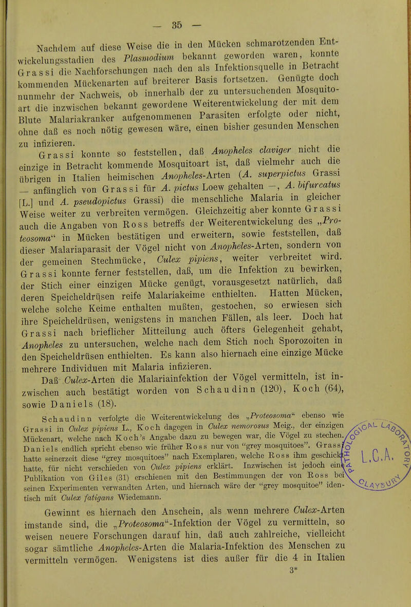 Nachdem auf diese Weise die in den Mücken schmarotzenden Ent- wickelungsstadien des Plasmodium bekannt geworden waren konnte Grassi die Nachforschungen nach den als Infektionsquelle in Betracht kommenden Mückenarten auf breiterer Basis fortsetzen. Genügte doch nunmehr der Nachweis, ob innerhalb der zu untersuchenden Mosquito- art die inzwischen bekannt gewordene Weiterentwickelung der mit dem Blute Malariakranker aufgenommenen Parasiten erfolgte oder nicht, ohne daß es noch nötig gewesen wäre, einen bisher gesunden Menschen Grassi konnte so feststellen, daß Anophdes claviger nicht die einzi-e in Betracht kommende Mosquitoart ist, daß vielmehr auch die übrig^en in Italien heimischen Änopheles-Avten (Ä. superpictus Grassi - anfänglich von Grassi für Ä. pictus Loew gehalten Ä. Ufurcatus \L] und A. pseudopidus Grassi) die menschliche Malaria in gleicher Weise weiter zu verbreiten vermögen. Gleichzeitig aber konnte G r a s s i auch die Angaben von Ross betreffs der Weiterentwickelung des „Pro- teosoma- in Mücken bestätigen und erweitern, sowie feststellen, daß dieser Malariaparasit der Vögel nicht von Anophdes-Arten, sondern von der gemeinen Stechmücke, Culex pipiens, weiter verbreitet wird. Grassi konnte ferner feststellen, daß, um die Infektion zu bewirken, der Stich einer einzigen Mücke genügt, vorausgesetzt natürlich, daß deren Speicheldrüsen reife Malariakeime enthielten. Hatten Mücken, welche solche Keime enthalten mußten, gestochen, so erwiesen sich ihre Speicheldrüsen, wenigstens in manchen Fällen, als leer. Doch hat Grassi nach brieflicher Mitteilung auch öfters Gelegenheit gehabt, Anopheles zu untersuchen, welche nach dem Stich noch Sporozoiten in den Speicheldrüsen enthielten. Es kann also hiernach eine einzige Mücke mehrere Individuen mit Malaria infizieren. Daß CwZerc-Arten die Malariainfektion der Vögel vermitteln, ist in- zwischen auch bestätigt worden von Schau dinn (120), Koch (64), sowie Daniels (18). Schaudinn verfolgte die Weiterentwickelung des „Proteosoma'' ebenso wie Grassi in Oulex pipiens L., Koch dagegen in Culex nemorosus Meig., der einzigen Mückenart, welche nach Koch's Angabe dazu zu bewegen war, die Vögel zu stechen Daniels endlich spricht ebenso wie früher Ross nur von grey mosquitoes. Grassf^ hatte seinerzeit diese grey mosquitoes nach Exemplaren, welche Ross ihm geschickf^ hatte, für nicht verschieden von Qidex pipiens erklärt. Inzwischen ist jedoch em ^ Publikation von Giles (31) erschienen mit den Bestimmungen der von Ross bei seinen Experimenten verwandten Arten, und hiernach wäre der grey mosquitoe iden- tisch mit Oulex fatigwns Wiedemann. Gewinnt es hiernach den Anschein, als wenn mehrere Culex-Arten imstande sind, die „Pro^eosoma-Infektion der Vögel zu vermitteln, so weisen neuere Forschungen darauf hin, daß auch zahlreiche, vielleicht sogar sämtliche Anopheles-Arten die Malaria-Infektion des Menschen zu vermitteln vermögen. Wenigstens ist dies außer für die 4 in Italien
