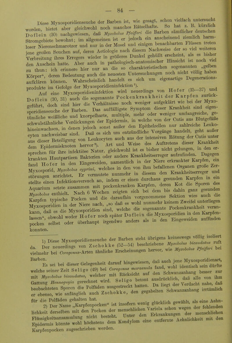 Diese Myxosporidienseuche der Barben ist, wie gesagt, schon vielfach untersucht wden bietet aber gleichwohl noch manches Rätselhafte. So hat z B kurzhch Dof ein (30) nachgewiesen, daß MyMus Ffeifferi die Barben sämthcher deutschen Stromgebie e bewohnt; im aUgemeinen ist er jedoch ein anscheinend ziemlich haim- foser Nierenschmarotzer und nur in der Mosel und einigen benachbarten Flüssen t eten ene großen Seuchen auf, deren Aetiologie nach diesem Nachweise der so viel weiteren Verbreitimg ihres Erregers wieder in größeres Dunkel gehiült erscheint als es bishe den Anschein hatte. Aber auch in pathologisch-anatomischer Hmsicht ist noch viel zu thun: ich erinnere hier nur an die so charakteristischen sogenannten „ge ben Körper'S deren Bedeutung auch die neuesten Untersuchungen noch nicht voUig haben SäL; können. Wahrscheinlich handelt es sich um eigenartige Degenerations- Produkte im Gefolge der Myxosporidieninfektion^). TTnfpr 37^ und Auf eine Myxosporidieninfektion wu:d neuerdmgs von Hof er (3d-37) una Doflein (30 31) auch die sogenannte Pockenkrankheit der Karpfen zuruck- rfwt doch sind hier die Verhältnisse noch weniger aufgeklärt wie bei der Myxo- Änseul Ter Barben Das auffälligste Symptom dieser Krankheit sind eigen- tMche wdßliche und knorpelharte, multiple, mehr oder weniger umfangreiche, ge- tumlicne wem ^ ^ Epidermis, in welche von der Cutis aus Blutgefäße v^^^-^'^lfwu n sonst außer den EpithelzeUen nur zahbreiche Leuko- hineinwachsen, in denen ]edocn entzündliche Vorgänge handelt, geht außer irdieTe«^^^^^^^ auch aus der intensiven Eötung der Cutis ^ter Sm SderLkn'ote'n hervor^). Art und Weise des Auftretens dieser Kr^khat sprechen fl ihre infektiöse Natur, gleichwohl ist es bisher mcht gelungen, m den er- Tankten Hautpartieen Bakterien oder andere Krankheitserreger aufzu^mden. Dagegen Snd Hof er in den Eingeweiden, namentüch in der Niere erkrankter Karpfen, em MyLpor^^ cvvrini, welches in den von ihm befaUenen Organen große Zer^ SngT anrichtet. Er'vermutete nunmehr in diesem den ^-r^^^^^^^ stellte einen Infektionsversuch an, indem er einen durchaus gesunden Karpfen m em kann, dalä es me »J™ !> Doflein die Myxosporidien m den Karpfen- X'°^eir^t;\« »nde. a. in^den Ein.ew.den a>^inden konnten. Myxosporidienseuc.e der Bar.» ^^^^^^^^IZH a »ei bei dieser Gelegenheit darauf hingewiesen, da6 auch jene Myxosporidienai% .elehfserner Zeitriigo ?49, hei —rScll^^^^^^ „it UcauU^, J^ S e üto tent atdr tß fue von ihm Gattung Ä»»ej»yia gerechnet wird. Selige betom 4e;ye,dacht nahe, daß l/^rZetScn^ocken« ist insofern «nig glücklich geÄ als eine Aehn „chkeTt d:^er;;;it L Lken der --hlichen VanoU^^^^^^^^^ eklenden Karpfenpocken zugeschrieben werden.