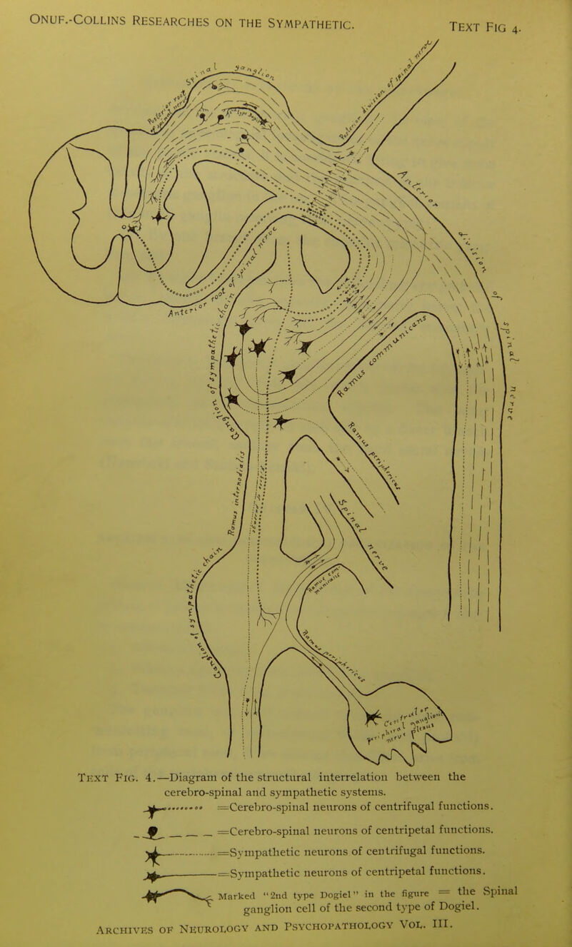 Text Fig 4. Text Fig. 4.—Diagram of the structural interrelation between the cerebro-spinal and sympathetic systems. ..,<,-». Cerebro-spinal neurons of centrifugal functions. _ ^Cerebro-spinal neurons of centripetal functions. y^h— =Sympathetic neurons of centrifugal functions. jA. ^Sympathetic neurons of centripetal functions. Marked 2iid type Dogiel in the figtire = the Spinal ganglion cell of the second type of Dogiel. Archives oe Neuroi^ogy and Psychopathology Vol. III.