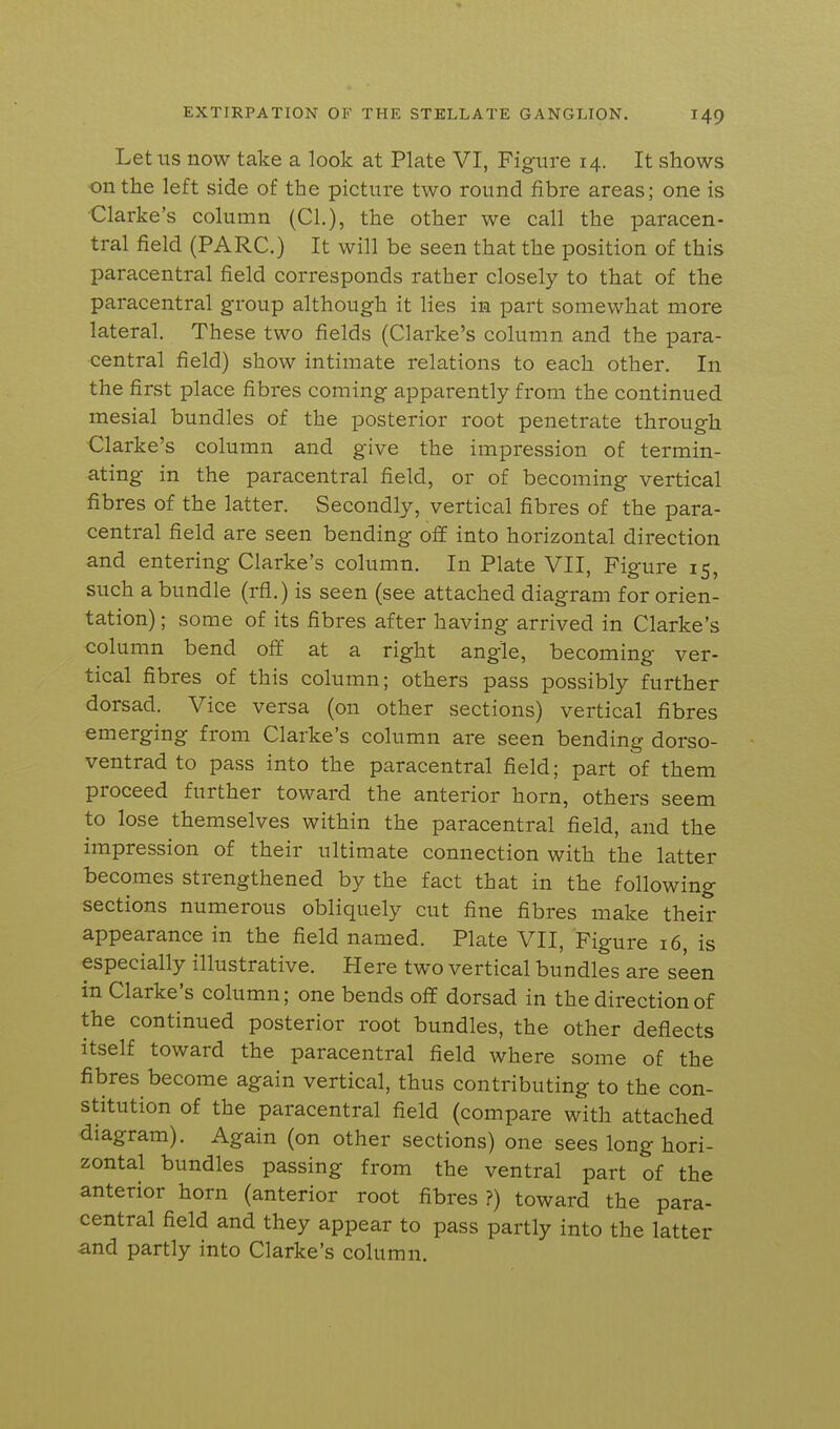 Let US now take a look at Plate VI, Figure 14. It shows on the left side of the picture two round fibre areas; one is Clarke's column (CI.), the other we call the paracen- tral field (PARC.) It will be seen that the position of this paracentral field corresponds rather closely to that of the paracentral group although it lies in part somewhat more lateral. These two fields (Clarke's column and the para- central field) show intimate relations to each other. In the first place fibres coming apparently from the continued mesial bundles of the posterior root penetrate through Clarke's column and give the impression of termin- ating in the paracentral field, or of becoming vertical fibres of the latter. Secondly, vertical fibres of the para- central field are seen bending off into horizontal direction and entering Clarke's column. In Plate VII, Figure 15, such a bundle (rfl.) is seen (see attached diagram for orien- tation) ; some of its fibres after having arrived in Clarke's column bend off at a right angle, becoming ver- tical fibres of this column; others pass possibly further dorsad. Vice versa (on other sections) vertical fibres emerging from Clarke's column are seen bending dorso- ventrad to pass into the paracentral field; part of them proceed further toward the anterior horn, others seem to lose themselves within the paracentral field, and the impression of their ultimate connection with the latter becomes strengthened by the fact that in the following sections numerous obliquely cut fine fibres make their appearance in the field named. Plate VII, Figure i6, is especially illustrative. Here two vertical bundles are seen in Clarke's column; one bends off dorsad in the direction of the continued posterior root bundles, the other deflects itself toward the paracentral field where some of the fibres become again vertical, thus contributing to the con- stitution of the paracentral field (compare with attached diagram). Again (on other sections) one sees long hori- zontal bundles passing from the ventral part of the anterior horn (anterior root fibres ?) toward the para- central field and they appear to pass partly into the latter and partly into Clarke's column.