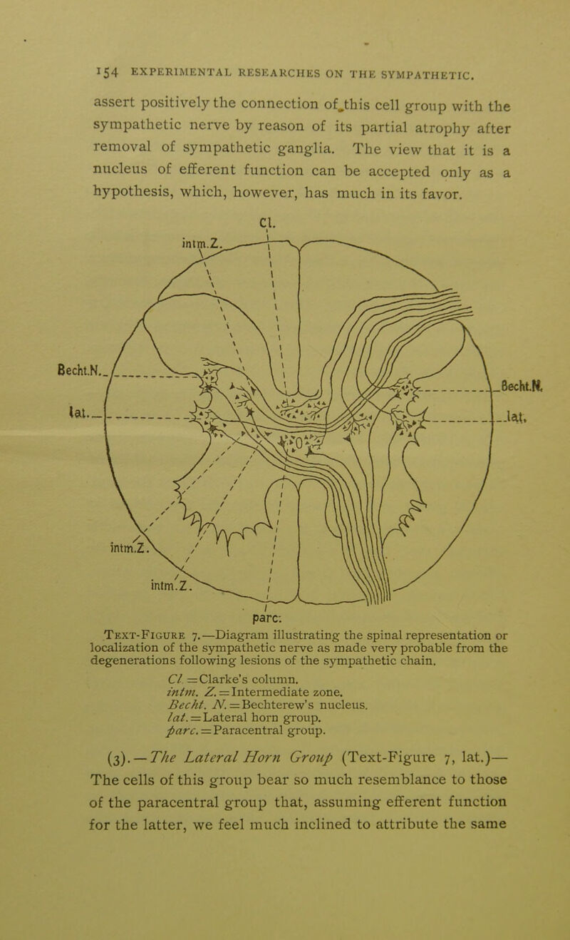 assert positively the connection of.this cell group with the sympathetic nerve by reason of its partial atrophy after removal of sympathetic ganglia. The view that it is a nucleus of eflEerent function can be accepted only as a hypothesis, which, however, has much in its favor. CI. I pare: Text-Figure 7.—Diagram illustrating the spinal representation or localization of the S5nmpathetic nerve as made very probable from the degenerations following lesions of the sympathetic chain. CI = Clarke's column. intm. = Intermediate zone. Becht. A^. =Bechterew's nucleus, /a/. = Lateral horn group, ^rtrf. = Paracentral group. {^. — The Lateral Horn GroiiJ) (Text-Figure 7, lat.)— The cells of this group bear so much resemblance to those of the paracentral group that, assuming efferent function for the latter, we feel much inclined to attribute the same