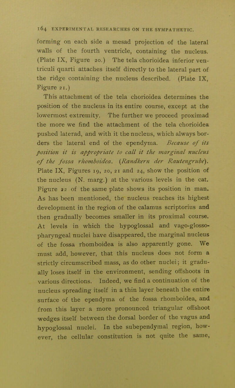 forming on each side a mesad projection of the lateral walls of the fourth ventricle, containing the nucleus. (Plate IX, Figure 20.) The tela chorioidea inferior ven- triculi quarti attaches itself directly to the lateral part of the ridge containing the nucleus described. (Plate IX, Figure 21.) This attachment of the tela chorioidea determines the position of the nucleus in its entire course, except at the lowermost extremity. The further we proceed proximad the more we find the attachment of the tela chorioidea pushed laterad, and with it the nucleus, which always bor- ders the lateral end of the ependyma. Because of its position it is appropriate to call it the marginal nucleus of the fossa rhomboidea. [Rafidkern der Rautengrube). Plate IX, Figures 19, 20, 21 and 24, show the position of the nucleus (N. marg.) at the various levels in the cat. Figure 22 of the same plate shows its position in man. As has been mentioned, the nucleus reaches its highest development in the region of the calamus scriptorius and then gradually becomes smaller in its proximal course. At levels in which the hypoglossal and vago-glosso- pharyngeal nuclei have disappeared, the marginal nucleus of the fossa rhomboidea is also apparently gone. We must add, however, that this nucleus does not form a strictly circumscribed mass, as do other nuclei; it gradu- ally loses itself in the environment, sending offshoots in various directions. Indeed, we find a continuation of the nucleus spreading itself in a thin layer beneath the entire surface of the ependyma of the fossa rhomboidea, and from this layer a more pronounced triangular offshoot wedges itself between the dorsal border of the vagus and hypoglossal nuclei. In the subependymal region, how- ever, the cellular constitution is not quite the same.