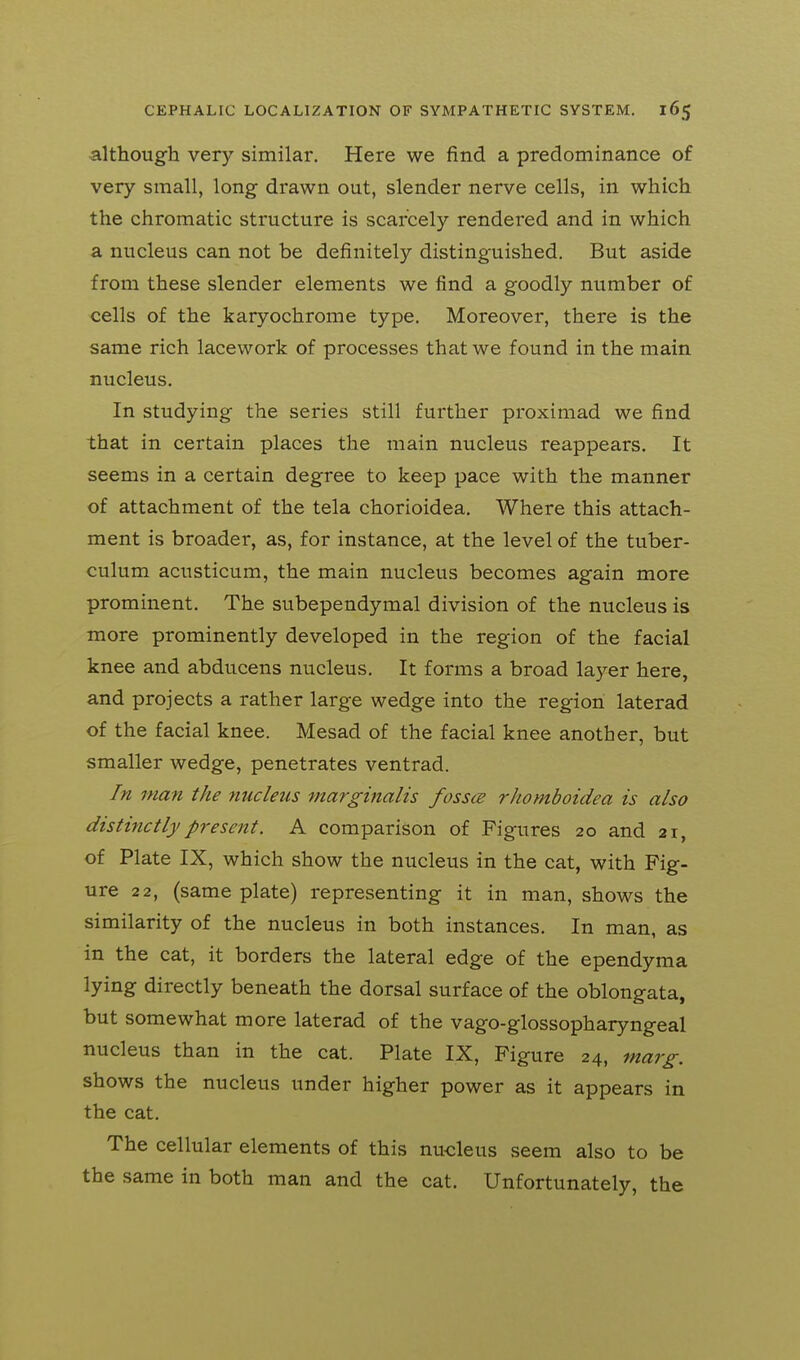 although very similar. Here we find a predominance of very small, long drawn out, slender nerve cells, in which the chromatic structure is scarcely rendered and in which a nucleus can not be definitely distinguished. But aside from these slender elements we find a goodly number of cells of the karyochrome type. Moreover, there is the same rich lace work of processes that we found in the main nucleus. In studying the series still further proximad we find that in certain places the main nucleus reappears. It seems in a certain degree to keep pace with the manner of attachment of the tela chorioidea. Where this attach- ment is broader, as, for instance, at the level of the tuber- culum acusticum, the main nucleus becomes again more prominent. The subependymal division of the nucleus is more prominently developed in the region of the facial knee and abducens nucleus. It forms a broad layer here, and projects a rather large wedge into the region laterad of the facial knee. Mesad of the facial knee another, but smaller wedge, penetrates ventrad. In man the nucleus marginalis fosses rhomboidea is also distinctly present. A comparison of Figures 20 and 21, of Plate IX, which show the nucleus in the cat, with Fig- ure 22, (same plate) representing it in man, shows the similarity of the nucleus in both instances. In man, as in the cat, it borders the lateral edge of the ependyma lying directly beneath the dorsal surface of the oblongata, but somewhat more laterad of the vago-glossopharyngeal nucleus than in the cat. Plate IX, Figure 24, marg. shows the nucleus under higher power as it appears in the cat. The cellular elements of this nucleus seem also to be the same in both man and the cat. Unfortunately, the