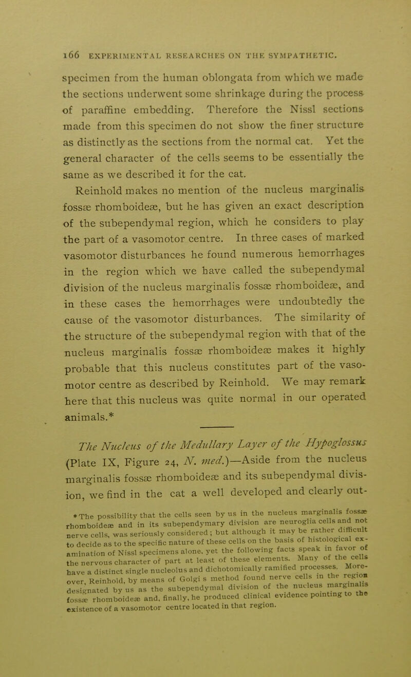 specimen from the human oblongata from which we made the sections underwent some shrinkage during the process of paraffine embedding. Therefore the Nissl sections made from this specimen do not show the finer structure as distinctly as the sections from the normal cat. Yet the general character of the cells seems to be essentially the same as we described it for the cat. Reinhold makes no mention of the nucleus marginalis fossse rhomboidese, but he has given an exact description of the subependymal region, which he considers to play the part of a vasomotor centre. In three cases of marked vasomotor disturbances he found numerous hemorrhages in the region which we have called the subependymal division of the nucleus marginalis fossse rhomboideae, and in these cases the hemorrhages were undoubtedly the cause of the vasomotor disturbances. The similarity of the structure of the subependymal region with that of the nucleus marginalis fossse rhomboidese makes it highly probable that this nucleus constitutes part of the vaso- motor centre as described by Reinhold. We may remark here that this nucleus was quite normal in our operated animals.* The Nucleus of the Medullary Layer of the Hypoglossus (Plate IX, Figure 24, N. w^^.)—Aside from the nucleus marginalis fossae rhomboideae and its subependymal divis- ion, we find in the cat a well developed and clearly out- *The possibility that the cells seen by us in the nucleus marginalis foss» rhomboide^ and in its subependymary division are neuroglia cells and not nerve cells, was seriously considered; but although it may be rather d.thcult to decide as to the specific nature of these cells on the basis of histological ex- amination of Nissl specimens alone, yet the following facts speak m favor of the nervous character of part at least of these elements. Many of the cells have a distinct single nucleolus and dichotomically ramified processes. More- over Reinhold. by means of Golgi s method found nerve cells in the regio. designated by us as the subependymal division of the nucleus marg.nahs fossS rhomboide^ and. finally, he produced clinical evidence pointing to the existence of a vasomotor centre located in that region.