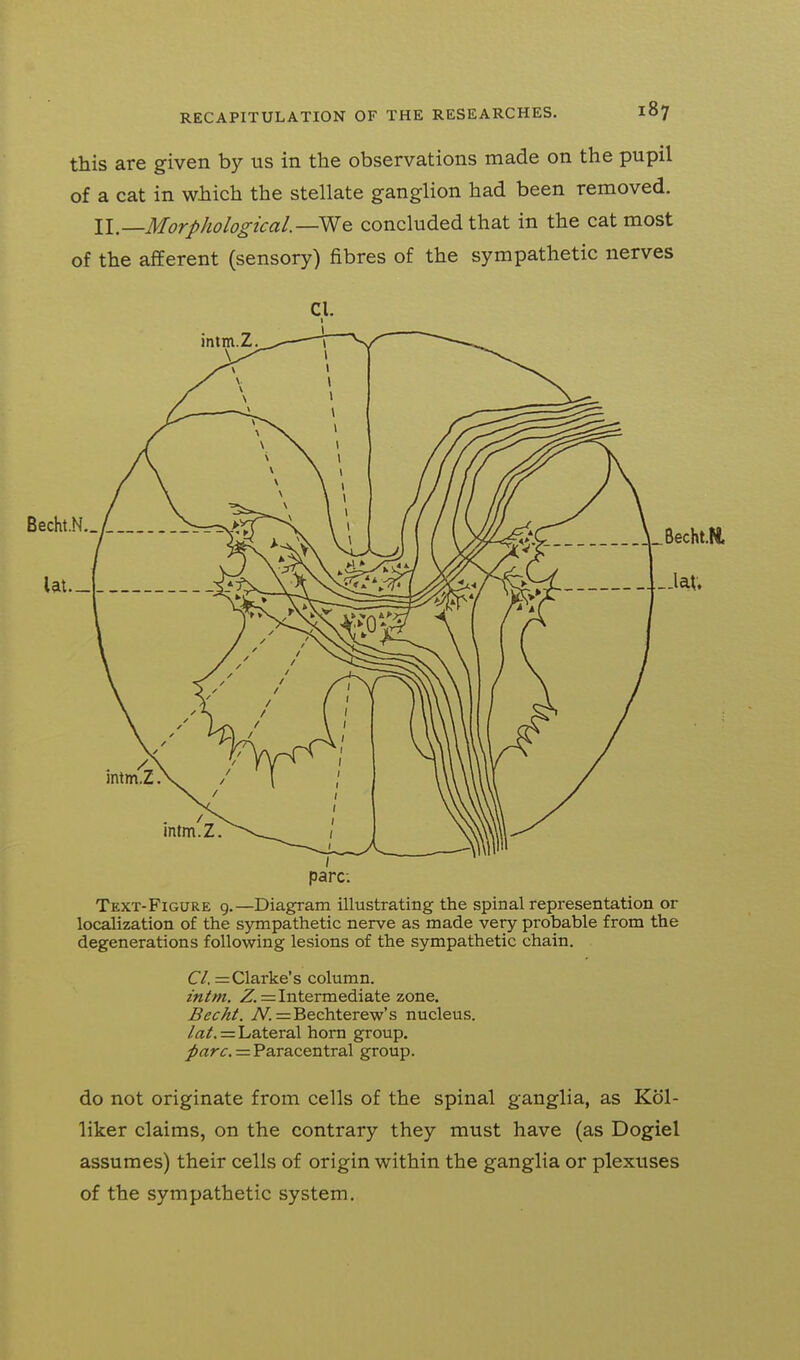 this are given by us in the observations made on the pupil of a cat in which the stellate ganglion had been removed. \\—Morphological—concluded that in the cat most of the afferent (sensory) fibres of the sympathetic nerves CI. pare; Text-Figure 9.—Diagram illustrating the spinal representation or localization of the sympathetic nerve as made very probable from the degenerations following lesions of the sympathetic chain. C/. = Clarke's column. intm. Z. = Intermediate zone. Becht. iV. =Bechterew's nucleus. lat.^LisX&raX honi group, ^ar^. = Paracentral group. do not originate from cells of the spinal ganglia, as Kol- liker claims, on the contrary they must have (as Dogiel assumes) their cells of origin within the ganglia or plextises of the sympathetic system.