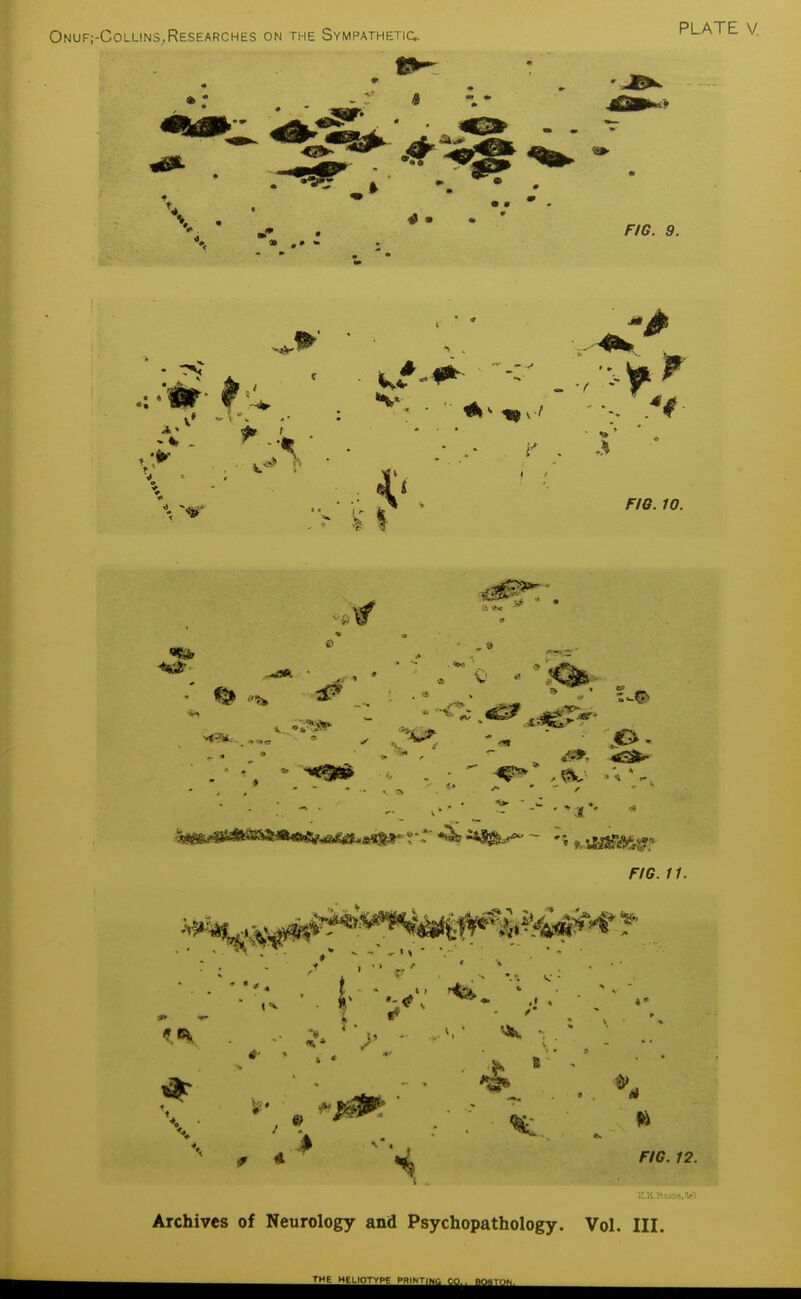 FIG. 9. '4 10. 1^ FIG. 11. ■ • I. . V F/C. J2. Archives of Neurology and Psychopathology. Vol. III.