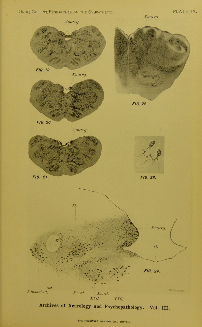 Xnuinf. FIG. 20 FIG. 21. FIG. 23. .Vluminl.ci. .Wnu'd. X„u-d. xm .V.X/I. Archives of Neurology and Psychopathology. Vol. III.