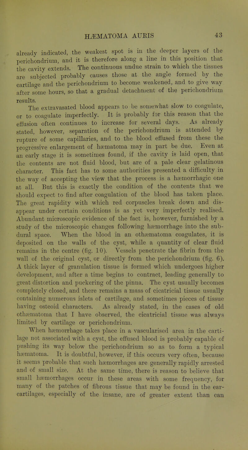 already indicated, the weakest spot is iu the deeper layers of the perichondrium, and it is therefore along a line in this position that the cavity extends. The continuous undue strain to which the tissues are subjected probably causes those at the angle formed by the cartilao-e and the perichondrium to become weakened, and to give way after some hours, so that a gradual detachment of the perichondrium results. The extravasated blood appears to be somewhat slow to coagulate, or to coagulate imperfectly. It is probably for this reason that the effusion often continues to increase for several days. As already stated, however, separation of the perichondrium is attended by rupture of some capillaries, and to the blood effused from these the progressive enlargement of haematoma may in part be due. Even at an early stage it is sometimes found, if the cavity is laid open, that the contents are not fluid blood, but are of a pale clear gelatinous character. This fact has to some authorities presented a difficulty in the way of accepting the view that the process is a haemorrhagic one at all. But this is exactly the condition of the contents that we should expect to find after coagulation of the blood has taken place. The great rapidity with which red corpuscles break down and dis- appear under certain conditions is as yet very imperfectly realised. Abundant microscopic evidence of the fact is, however, furnished by a study of the microscopic changes following htemorrhage into the sub- dural space. When the blood in an othiematoma coagulates, it is deposited on the walls of the cyst, while a quantity of clear fluid remains in the centre (fig. 10). Vessels penetrate the fibrin from the wall of the original cyst, or directly from the perichondrium (fig. 6). A thick layer of granulation tissue is formed which undergoes higher development, and after a time begins to contract, leading generally to great distortion and puckering of the pinna. The cyst usually becomes completely closed, and there remains a mass of cicatricial tissue usually containing numerous islets of cartilage, and sometimes pieces of tissue having osteoid characters. As already stated, in the cases of old othematoma that I have observed, the cicatricial tissue was always limited by cartilage or perichondrium. When haemorrhage takes place in a vascularised area in the carti- lage not associated with a cyst, the effused blood is probably capable of pushing its way below the perichondrium so as to form a typical hjematoma. It is doubtful, however, if this occurs very often, because it seems probable that such haemorrhages are generally rapidly arrested and of small size. At the same time, there is reason to believe that small haemorrhages occur in these areas with some frequency, for many of the patches of fibrous tissue that may be found in the ear- cartilages, especially of the insane, are of greater extent than can