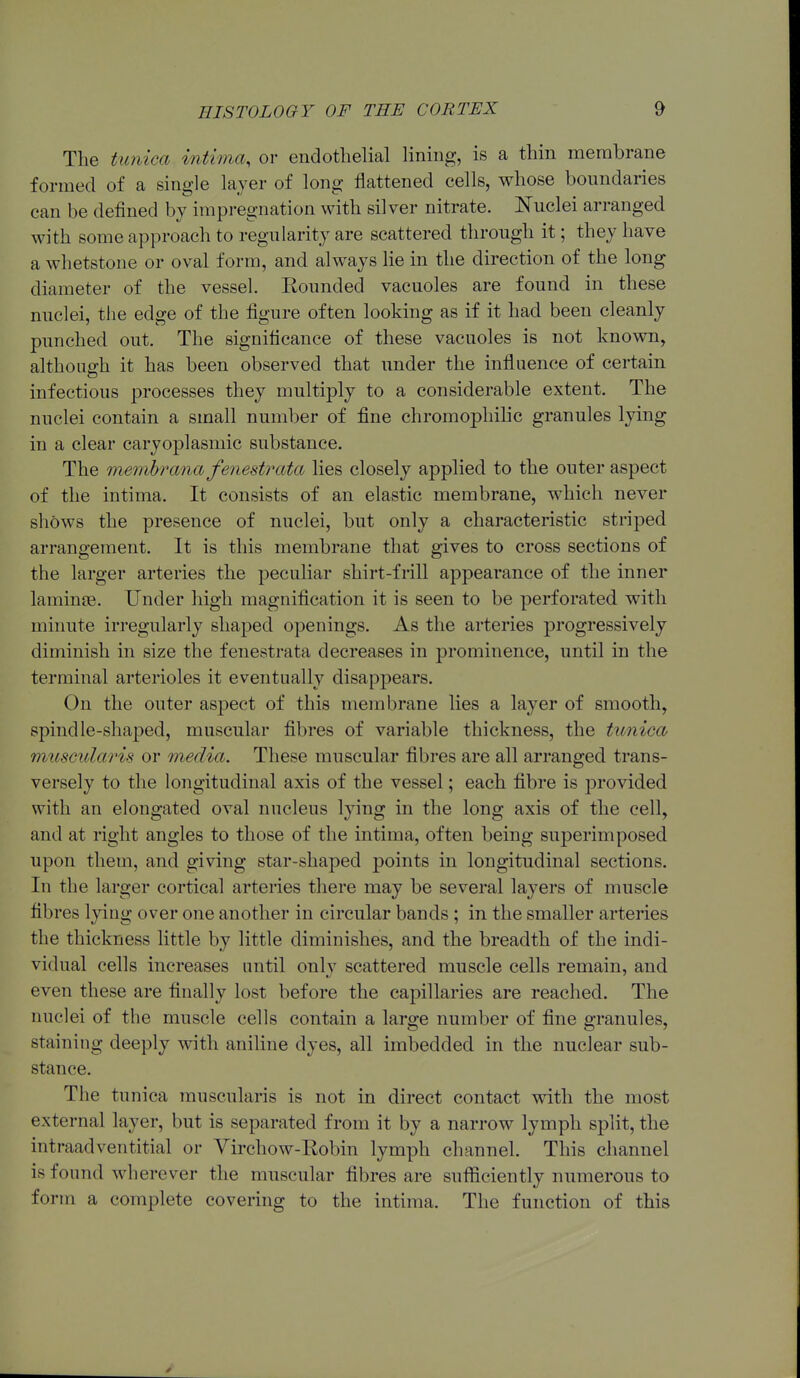 The tunica intima, or endothelial lining, is a thin membrane formed of a single layer of long flattened cells, whose boundaries can be defined by impregnation with silver nitrate. Nuclei arranged with some approach to regularity are scattered through it; they have a whetstone or oval form, and always lie in the direction of the long diameter of the vessel. Kounded vacuoles are found in these nuclei, the edge of the figure often looking as if it had been cleanly punched out. The significance of these vacuoles is not known, although it has been observed that under the influence of certain infectious processes they multiply to a considerable extent. The nuclei contain a small number of fine chromophihc granules lying in a clear caryoplasmic substance. The memhrana fenestrata lies closely applied to the outer aspect of the intima. It consists of an elastic membrane, which never shows the presence of nuclei, but only a characteristic striped arrangement. It is this membrane that gives to cross sections of the larger arteries the peculiar shirt-frill appearance of the inner laminae. Under high magnification it is seen to be perforated with minute irregularly shaped openings. As the arteries progressively diminish in size the fenestrata decreases in prominence, until in the terminal arterioles it eventually disappears. On the outer asjDect of this membrane lies a layer of smooth, spindle-shaped, muscular fibres of variable thickness, the tunica muscularis or media. These muscular fibres are all arranged trans- versely to the longitudinal axis of the vessel; each fibre is provided with an elongated oval nucleus lying in the long axis of the cell, and at right angles to those of the intima, often being superimposed upon them, and giving star-shaped points in longitudinal sections. In the larger cortical arteries there may be several layers of muscle fibres lying over one another in circular bands ; in the smaller arteries the thickness little by little diminishes, and the breadth of the indi- vidual cells increases until only scattered muscle cells remain, and even these are finally lost before the capillaries are reached. The nuclei of the muscle cells contain a large number of fine granules, staining deeply with aniline dyes, all imbedded in the nuclear sub- stance. The tunica muscularis is not in direct contact with the most external layer, but is separated from it by a narrow lymph split, the intraadventitial or Virchow-Robin lymph channel. This channel is found wherever the muscular fibres are sufiiciently numerous to form a complete covering to the intima. The function of this