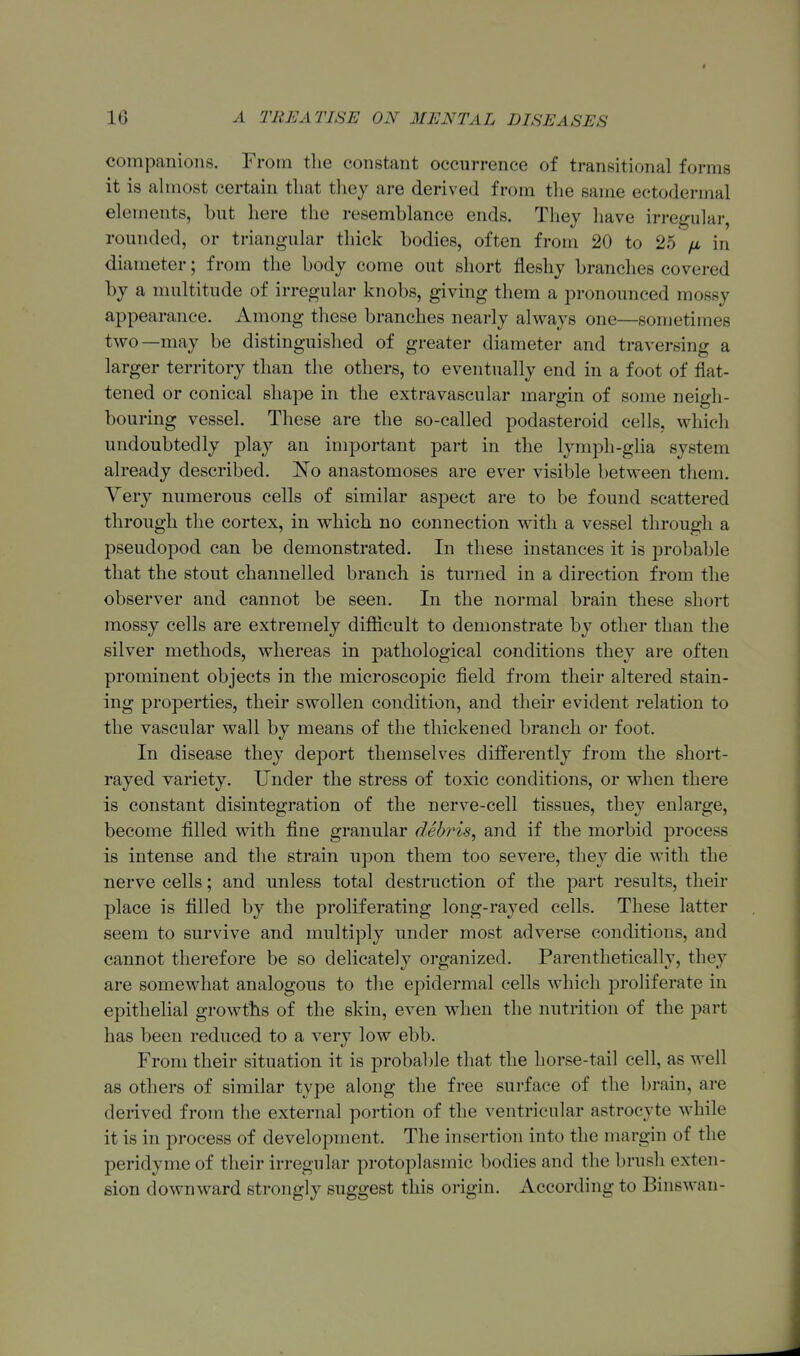 companions. From the constant occurrence of transitional forms it is ahnost certain that tliey are derived from the same ectodermal elements, but here the resemblance ends. They have irregular, rounded, or triangular thick bodies, often from 20 to 25 in diameter; from the body come out short fleshy branches covered by a multitude of irregular knobs, giving them a pronounced mossy appearance. Among these branches nearly always one—sometimes two—may be distinguished of greater diameter and traversing a larger territory than the others, to eventually end in a foot of flat- tened or conical shape in the extravascular margin of some neigh- bouring vessel. These are the so-called podasteroid cells, which undoubtedly play an important part in the lymph-glia system already described. anastomoses are ever visible between them. Yery numerous cells of similar aspect are to be found scattered through the cortex, in which no connection with a vessel through a pseudopod can be demonstrated. In these instances it is probable that the stout channelled branch is turned in a direction from the observer and cannot be seen. In the normal brain these short mossy cells are extremely difl&cult to demonstrate by other than the silver methods, whereas in pathological conditions they are often prominent objects in the microscopic field from their altered stain- ing properties, their swollen condition, and their evident relation to the vascular wall by means of the thickened branch or foot. In disease they deport themselves differently from the short- rayed variety. Under the stress of toxic conditions, or when there is constant disintegration of the nerve-cell tissues, they enlarge, become filled with fine granular debris, and if the morbid process is intense and the strain upon them too severe, they die with the nerve cells; and unless total destruction of the part results, their place is filled by the proliferating long-rayed cells. These latter seem to survive and multiply under most adverse conditions, and cannot therefore be so delicately organized. Parenthetically, they are somewhat analogous to the epidermal cells which proliferate in epithelial growths of the skin, even when the nutrition of the part has been reduced to a very low ebb. From their situation it is probal)le that the horse-tail cell, as well as others of similar type along the free surface of the brain, are derived from the external portion of the ventricular astrocyte while it is in process of development. The insertion into the margin of the peridyme of their irregular protoplasmic bodies and the brush exten- sion downward strongly suggest this origin. According to Binswan-