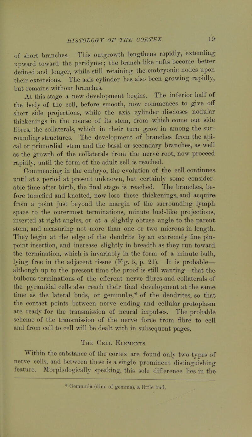 of short branches. This outgrowth lengthens rapidly, extending- upward toward the peridyme; the branch-like tufts become better defined and longer, while still retaining the embryonic nodes upon their extensions. The axis cylinder has also been growing rapidly, but remains without branches. At this stage a new development begins. The inferior half of the body of the cell, before smooth, now commences to give off short side projections, while the axis cylinder discloses nodular thickenings in the course of its stem, from which come out side fibres, the collaterals, which in their turn grow in among the sur- rounding structures. The development of branches from the api- cal or primordial stem and the basal or secondary branches, as well as the growth of the collaterals from the nerve root, now proceed rapidly, until the form of the adult cell is reached. Commencing in the embryo, the evolution of the cell continues- until at a period at present unknown, but certainly some consider- able time after birth, the final stage is reached. The branches, be- fore tumefied and knotted, now lose these thickenings, and acquire from a point just beyond the margin of the surrounding lymph space to the outermost terminations, minute bud-like projections, inserted at right angles, or at a slightly obtuse angle to the parent stem, and measuring not more than one or two microns in length. They begin at the edge of the dendrite by an extremely fine pin- point insertion, and increase slightly in breadth as they run toward the termination, which is invariably in the form of a minute bulb, lying free in the adjacent tissue (Fig. 5, p. 21). It is probable— although up to the present time the proof is still wanting—that the bulbous terminations of the efferent nerve fibres and collaterals of the pyramidal cells also reach their final development at the same time as the lateral buds, or gemmulee,* of the dendrites, so that the contact points between nerve ending and cellular protoj)lasm are ready for the transmission of neural impulses. The probable scheme of the transmission of the nerve force from fibre to cell and from cell to cell will be dealt with in subsequent pages. The Cell Elements Within the substance of the cortex are found only two types of nerve cells, and between these is a single prominent distinguishing feature. Morphologically speaking, this sole difference lies in the * Geinniula (dim. of gemma), a little bud.