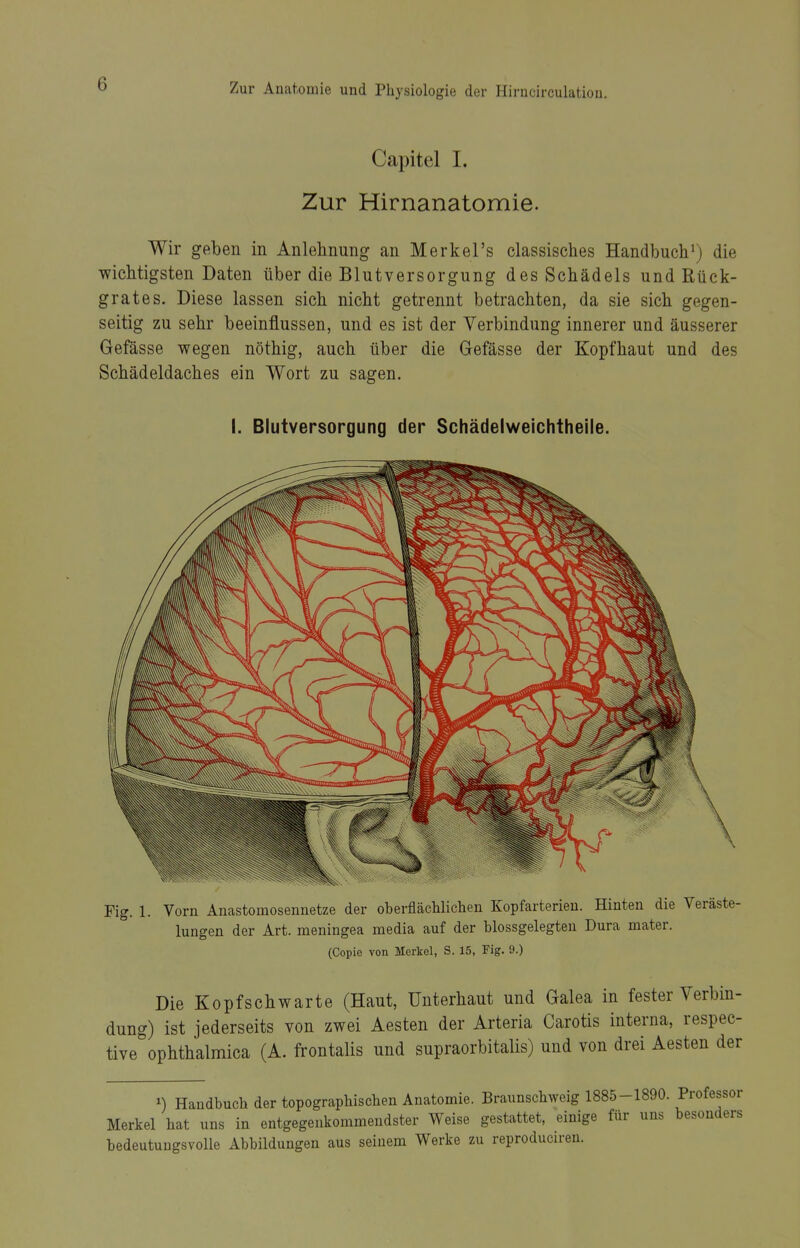 Capitel 1. Zur Hirnanatomie. Wir geben in Anlehnung an Merkel's classisches Handbuch') die wichtigsten Daten über die Blutversorgung des Schädels und Rück- grates. Diese lassen sich nicht getrennt betrachten, da sie sich gegen- seitig zu sehr beeinflussen, und es ist der Verbindung innerer und äusserer Gefässe wegen nöthig, auch über die Glefässe der Kopfhaut und des Schädeldaches ein Wort zu sagen. I. Blutversorgung der Schädelweichtheile. Fig. 1. Vorn Anastomosennetze der oberfläcWiclien Kopfarterieu. Hinten die Veräste- lungen der Art. meningea media auf der blossgelegten Dura mater. (Copie von Merkel, S. 15, Fig. 9.) Die Kopfschwarte (Haut, Unterhaut und Galea in fester Verbin- dung) ist jederseits von zwei Aesten der Arteria Carotis interna, respec- tive ophthalmica (A. frontalis und supraorbitalis) und von drei Aesten der 1) Handbuch der topographischen Anatomie. Braunschweig 1885-1890. Professor Merkel hat uns in entgegenkommendster Weise gestattet, einige für uns besonders bedeutungsvolle Abbildungen aus seinem Werke zu reproduciren.