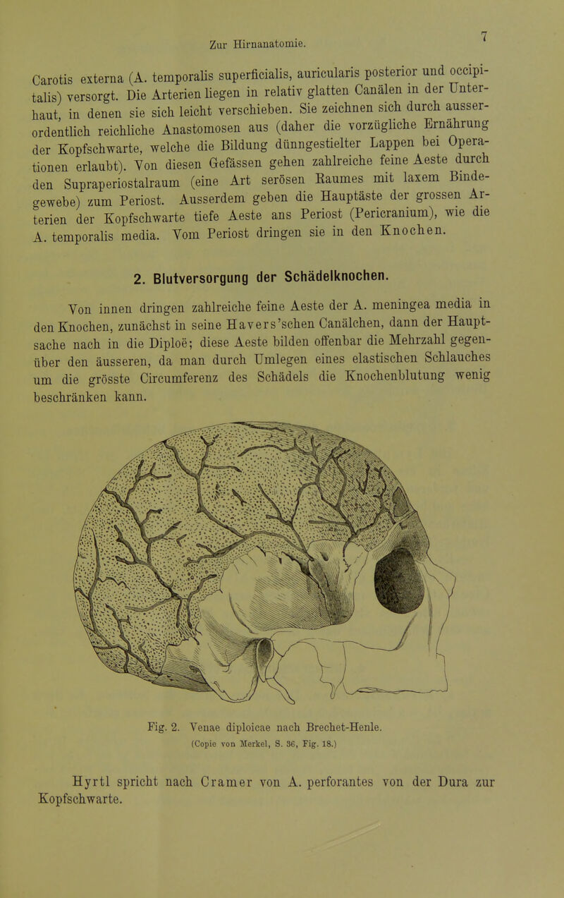 Carotis externa (A. temporalis superficialis, auricularis posterior und occipi- talis) versorgt. Die Arterien liegen in relativ glatten Canälen m der Unter- haut in denen sie sich leicht verschieben. Sie zeichnen sich durch ausser- ordentUch reichliche Anastomosen aus (daher die vorzügliche Ernährung der Kopfschwarte, welche die Bildung dünngestielter Lappen bei Opera- tionen erlaubt). Yon diesen Gefässen gehen zahlreiche feine Aeste durch den Supraperiostalraum (eine Art serösen Baumes mit laxem Bmde- gewebe) zum Periost. Ausserdem geben die Hauptäste der grossen Ar- terien der Kopfschwarte tiefe Aeste ans Periost (Pericranium), wie die A. temporalis media. Vom Periost dringen sie in den Knochen. 2. Blutversorgung der Schädelknochen. Yon innen dringen zahlreiche feine Aeste der A. meningea media in den Knochen, zunächst in seine Havers'schen Canälchen, dann der Haupt- sache nach in die Diploe; diese Aeste bilden offenbar die Mehrzahl gegen- über den äusseren, da man durch Umlegen eines elastischen Schlauches um die grösste Circumferenz des Schädels die Knochenblutung wenig beschränken kann. Fig. 2. Venae diploicae nach Brechet-Henle. (Copic von Merkel, S. 36, Fig. 18.) Hyrtl spricht nach Gramer von A. perforantes von der Dura zur Kopfschwarte.