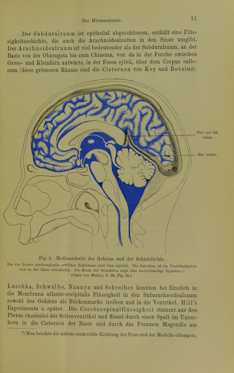 Der Subduralraum ist epithelial abgeschlossen, enthält eine Flüs- sigkeitsschichte, die auch die Arachnoidealzotten in den Sinus umgibt. Der Arachnoidealraumist viel bedeutender als der Subduralraum, an der Basis von der Oblongata bis zum Chiasma, von da in der Furche zwischen Gross- und Kleinhirn aufwärts, in der Fossa sylvii, über dem Corpus callo- sum (diese grösseren Räume sind die Cisternen von Key und Ketzins). Fig. 5. Medianschnitt des Gehirns und der Schädelhöhle. 'ie von Liquor cerebrospinalis erfüllten Hohlräume sind blau injicirt. Die Injection ist im Ventrikelsystem und an der Basis vollständig. Die Kinde des Grosshirns zeigt eine unvollständige Injection.') (Copie von Merkel, S. 78, Fig. 38.) Luschka, Schwalbe, Naunyn und Schreiber konnten bei Einstich in die Membrana atlanto-occipitalis Flüssigkeit in den Subarachnoidealraum sowohl des Grehirns als Rückenmarks treiben und in die Ventrikel. Hill's Experimente s. später. Die Cerebrospinalflüssigkeit stammt aus den Plexus chorioidei der Seitenventrikel und fliesst durch einen Spalt im Unter- horn in die Cisternen der Basis und durch das Foramen Magendie am ^) Mau beachte die nahezu senkrechte Kichtung des Pons und der Medulla oblongata.