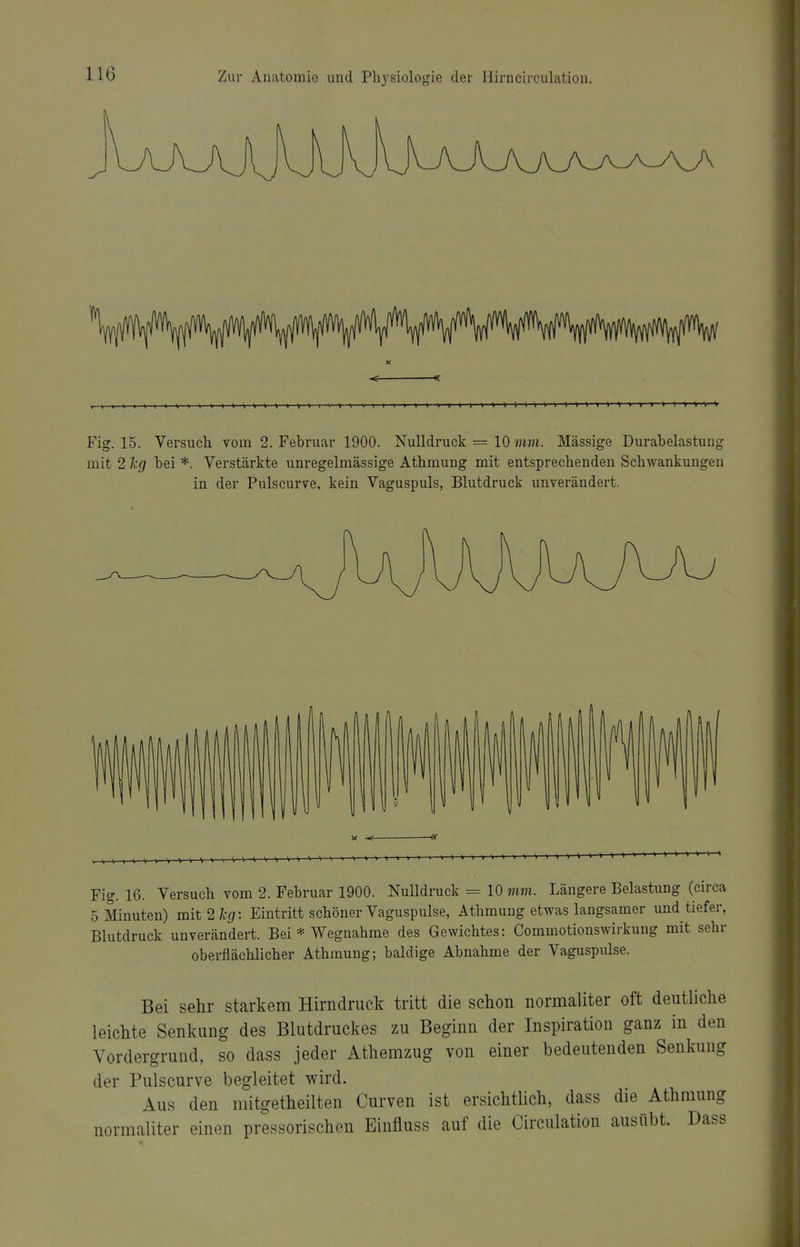t>>>><1>>»»»>»>>>>V Fig. 15. Versuch vom 2. Februar 1900. Nulldruck = 10 mm. Massige Durabelastung mit 2 kg bei *. Verstärkte unregelmässige Athmung mit entsprechenden Schwankungen in der Pulscurve, kein Vaguspuls, Blutdruck unverändert. Fig. 16. Versuch vom 2. Februar 1900. Nulldruck = 10 vm.. Längere Belastimg (circa 5 Minuten) mit 2 leg: Eintritt schöner Vaguspulse, Athmung etwas langsamer imd tiefer, Blutdruck unverändert. Bei * Wegnahme des Gewichtes: Commotionswirkung mit sehr oberflächlicher Athmung; baldige Abnahme der Vaguspulse. Bei sehr starkem Hirndruck tritt die schon normaliter oft deutliche leichte Senkung des Blutdruckes zu Beginn der Inspiration ganz in den Vordergrund, so dass jeder Athemzug von einer bedeutenden Senkung der Pulscurve begleitet wird. Aus den mitgetheilten Curven ist ersichtlich, dass die Athmung normaliter einen pressorischen Einfluss auf die Circulation ausübt. Dass