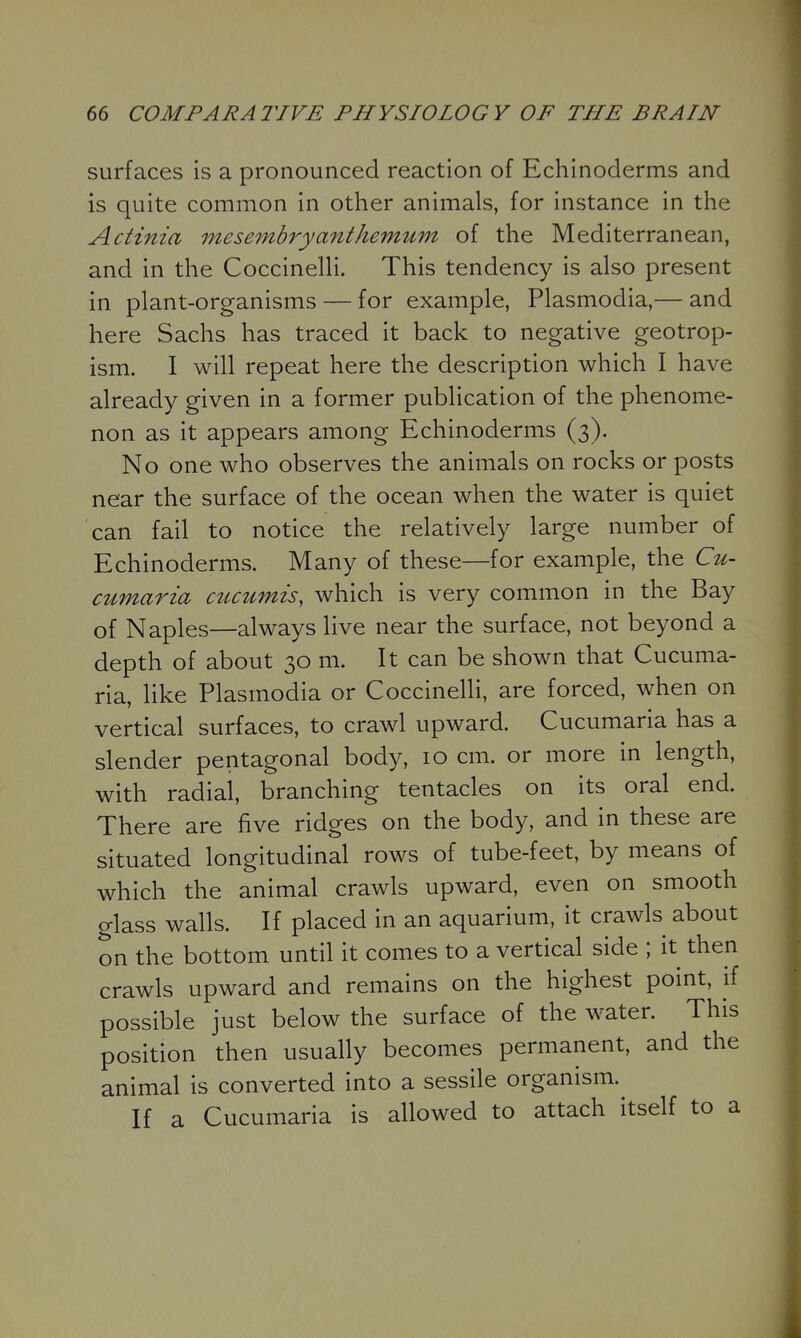 surfaces is a pronounced reaction of Echinoderms and is quite common in other animals, for instance in the Actinia mesembryanthemum of the Mediterranean, and in the CoccinelH. This tendency is also present in plant-organisms — for example, Plasmodia,— and here Sachs has traced it back to negative geotrop- ism. I will repeat here the description which I have already given in a former publication of the phenome- non as it appears among Echinoderms (3). No one who observes the animals on rocks or posts near the surface of the ocean when the water is quiet can fail to notice the relatively large number of Echinoderms. Many of these—for example, the Cu- cumaria cucumis, which is very common in the Bay of Naples—always live near the surface, not beyond a depth of about 30 m. It can be shown that Cucuma- ria, like Plasmodia or Coccinelli, are forced, when on vertical surfaces, to crawl upward. Cucumaria has a slender pentagonal body, 10 cm. or more in length, with radial, branching tentacles on its oral end. There are five ridges on the body, and in these are situated longitudinal rows of tube-feet, by means of which the animal crawls upward, even on smooth glass walls. If placed in an aquarium, it crawls about on the bottom until it comes to a vertical side ; it then crawls upward and remains on the highest point, if possible just below the surface of the water. This position then usually becomes permanent, and the animal is converted into a sessile organism. If a Cucumaria is allowed to attach itself to a