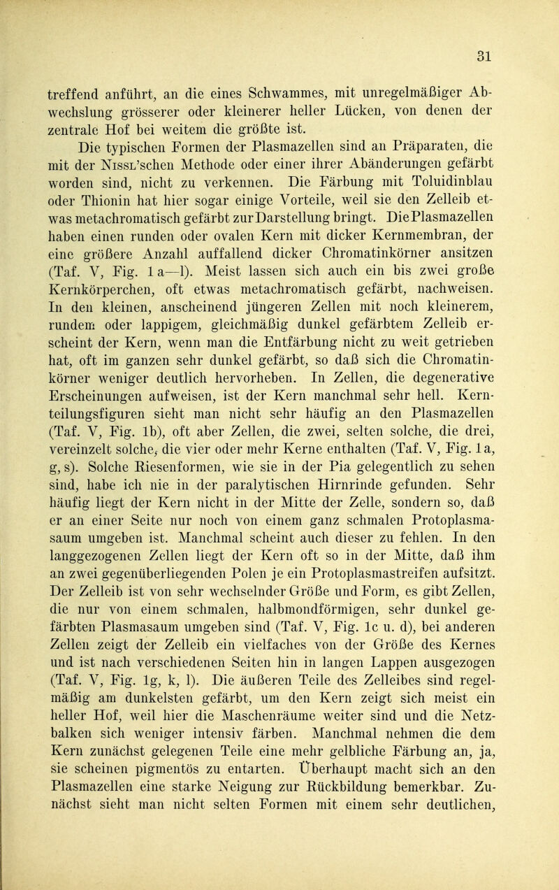 treffend anführt, an die eines Schwammes, mit unregelmäßiger Ab- wechslung grösserer oder kleinerer heller Lücken, von denen der zentrale Hof bei weitem die größte ist. Die typischen Formen der Plasmazellen sind an Präparaten, die mit der NissL'schen Methode oder einer ihrer Abänderungen gefärbt worden sind, nicht zu verkennen. Die Färbung mit Toluidinblau oder Thionin hat hier sogar einige Vorteile, weil sie den Zelleib et- was metachromatisch gefärbt zur Darstellung bringt. Die Plasmazellen haben einen runden oder ovalen Kern mit dicker Kernmembran, der eine größere Anzahl auffallend dicker Chromatinkörner ansitzen (Taf. V, Fig. la—l). Meist lassen sich auch ein bis zwei große Kernkörperchen, oft etwas metachromatisch gefärbt, nachweisen. In den kleinen, anscheinend jüngeren Zellen mit noch kleinerem, rundem oder lappigem, gleichmäßig dunkel gefärbtem Zelleib er- scheint der Kern, wenn man die Entfärbung nicht zu weit getrieben hat, oft im ganzen sehr dunkel gefärbt, so daß sich die Chromatin- körner weniger deutlich hervorheben. In Zellen, die degenerative Erscheinungen aufweisen, ist der Kern manchmal sehr hell. Kern- teilungsfiguren sieht man nicht sehr häufig an den Plasmazellen (Taf. V, Fig. Ib), oft aber Zellen, die zwei, selten solche, die drei, vereinzelt solche,- die vier oder mehr Kerne enthalten (Taf. V, Fig. 1 a, g, s). Solche Eiesenformen, wie sie in der Pia gelegentlich zu sehen sind, habe ich nie in der paralytischen Hirnrinde gefunden. Sehr häufig liegt der Kern nicht in der Mitte der Zelle, sondern so, daß er an einer Seite nur noch von einem ganz schmalen Protoplasma- saum umgeben ist. Manchmal scheint auch dieser zu fehlen. In den langgezogenen Zellen liegt der Kern oft so in der Mitte, daß ihm an zwei gegenüberliegenden Polen je ein Protoplasmastreifen aufsitzt. Der Zelleib ist von sehr wechselnder Größe und Form, es gibt Zellen, die nur von einem schmalen, halbmondförmigen, sehr dunkel ge- färbten Plasmasaum umgeben sind (Taf. V, Fig. Ic u. d), bei anderen Zellen zeigt der Zelleib ein vielfaches von der Größe des Kernes und ist nach verschiedenen Seiten hin in langen Lappen ausgezogen (Taf. V, Fig. lg, k, 1). Die äußeren Teile des Zelleibes sind regel- mäßig am dunkelsten gefärbt, um den Kern zeigt sich meist ein heller Hof, weil hier die Maschenräume weiter sind und die Netz- balken sich weniger intensiv färben. Manchmal nehmen die dem Kern zunächst gelegenen Teile eine mehr gelbliche Färbung an, ja, sie scheinen pigmentös zu entarten. Überhaupt macht sich an den Plasmazellen eine starke Neigung zur Rückbildung bemerkbar. Zu- nächst sieht man nicht selten Formen mit einem sehr deutlichen,