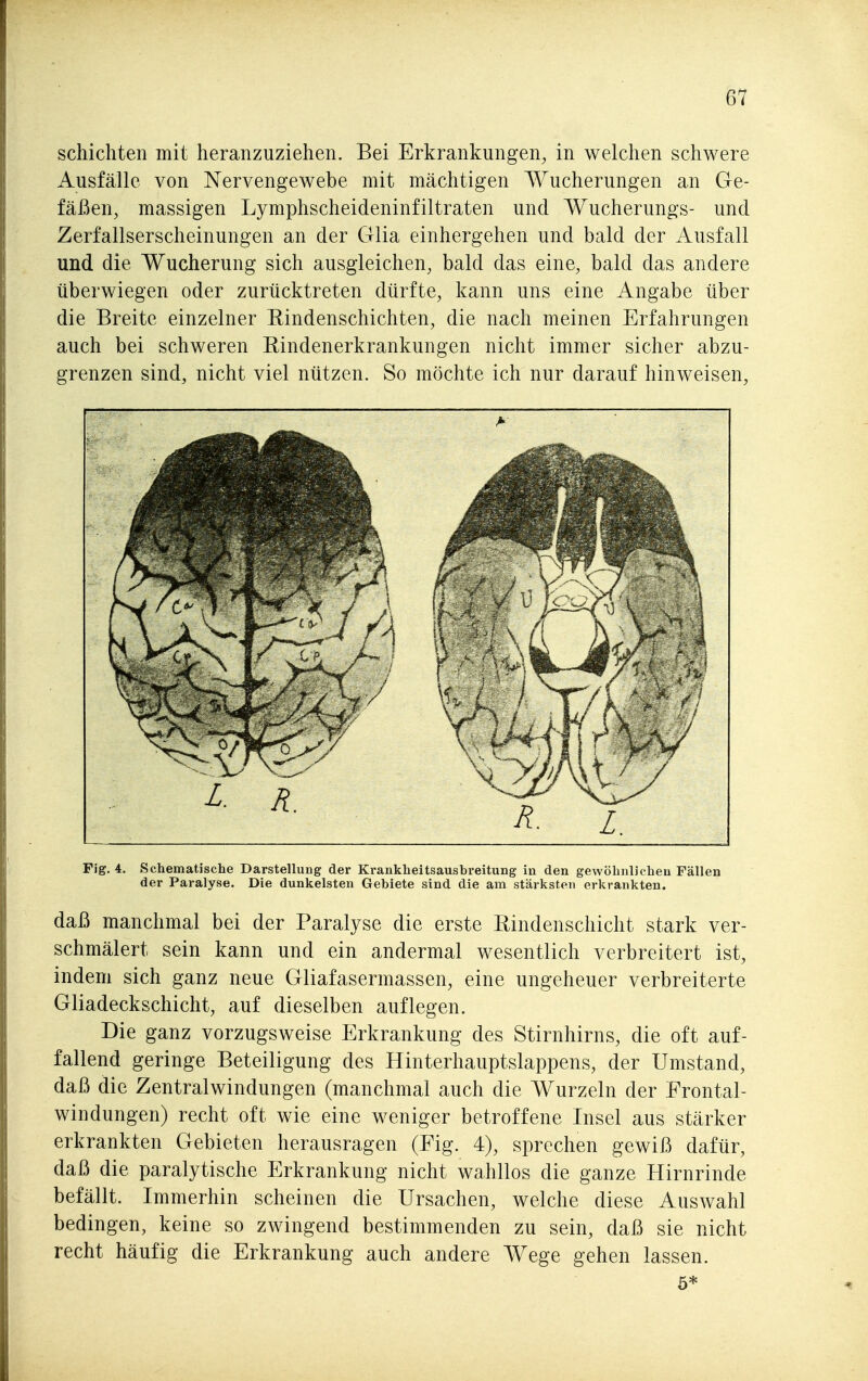 schichten mit heranzuziehen. Bei Erkrankungen, in welchen schwere Ausfälle von Nervengewebe mit mächtigen Wucherungen an Ge- fäßen, massigen Lymphscheideninfiltraten und Wucherungs- und Zerfallserscheinungen an der Glia einhergehen und bald der Ausfall und die Wucherung sich ausgleichen, bald das eine, bald das andere überwiegen oder zurücktreten dürfte, kann uns eine Angabe über die Breite einzelner Eindenschichten, die nach meinen Erfahrungen auch bei schweren Bindenerkrankungen nicht immer sicher abzu- grenzen sind, nicht viel nützen. So möchte ich nur darauf hinweisen. Fig. 4. Schematische Darstellung der Krankheitsausbreitung in den gewöhnlichen Fällen der Paralyse. Die dunkelsten Gebiete sind die am stärksten erkrankten. daß manchmal bei der Paralyse die erste Bindenschicht stark ver- schmälert sein kann und ein andermal wesentlich verbreitert ist, indem sich ganz neue Gliafasermassen, eine ungeheuer verbreiterte Gliadeckschicht, auf dieselben auflegen. Die ganz vorzugsweise Erkrankung des Stirnhirns, die oft auf- fallend geringe Beteiligung des Hinterhauptslappens, der Umstand, daß die Zentralwindungen (manchmal auch die Wurzeln der Frontal- windungen) recht oft wie eine weniger betroffene Insel aus stärker erkrankten Gebieten herausragen (Fig. 4), sprechen gewiß dafür, daß die paralytische Erkrankung nicht wahllos die ganze Hirnrinde befällt. Immerhin scheinen die Ursachen, welche diese Auswahl bedingen, keine so zwingend bestimmenden zu sein, daß sie nicht recht häufig die Erkrankung auch andere Wege gehen lassen.
