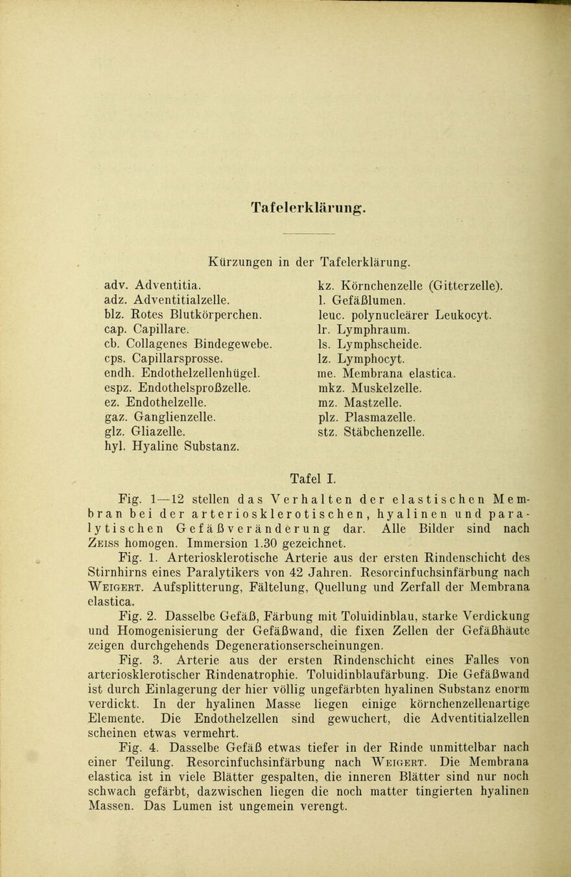Tafelerklärung. Kürzungen in der Tafelerklärung. adv. Adventitia. adz. Adventitialzelle. blz. Rotes Blutkörperchen. cap. Capillare. cb. Collagenes Bindegewebe. cps. Capillarsprosse. endh. Endothelzellenhügel. espz. Endothelsproßzelle. ez. Endothelzelle. gaz. Ganglienzelle. glz, Gliazelle. hyl. Hyaline Substanz. kz. Körnchenzelle (Gitterzelle). 1. Gefäßlumen. leuc. polynucleärer Leukocyt. Ir. Lymphraum. Is. Lymphscheide. Iz. Lymphocyt. me. Membrana elastica. mkz. Muskelzelle. mz. Mastzelle. plz. Plasmazelle. stz. Stäbchenzelle. Tafel I. Fig. 1—12 stellen das Verhalten der elastischen Mem- bran bei der arteriosklerotischen, hyalinen und para- lytischen Gefäßveränderung dar. Alle Bilder sind nach Zeiss homogen. Immersion 1.30 gezeichnet. Fig. 1. Arteriosklerotische Arterie aus der ersten Rindenschicht des Stirnhirns eines Paralytikers von 42 Jahren. Resorcinfuchsinfärbung nach Weigert. Aufsplitterung, Fältelung, Quellung und Zerfall der Membrana elastica. Fig. 2. Dasselbe Gefäß, Färbung mit Toluidinblau, starke Verdickung und Homogenisierung der Gefäßwand, die fixen Zellen der Gefäßhäute zeigen durchgehends Degenerationserscheinungen. Fig. 3. Arterie aus der ersten Rindenschicht eines Falles von arteriosklerotischer Rindenatrophie. Toluidinblaufärbung. Die Gefäßwand ist durch Einlagerung der hier völlig ungefärbten hyalinen Substanz enorm verdickt. In der hyalinen Masse liegen einige körnchenzellenartige Elemente. Die Endothelzellen sind gewuchert, die Adventitialzellen scheinen etwas vermehrt. Fig. 4. Dasselbe Gefäß etwas tiefer in der Rinde unmittelbar nach einer Teilung. Resorcinfuchsinfärbung nach Weigert. Die Membrana elastica ist in viele Blätter gespalten, die inneren Blätter sind nur noch schwach gefärbt, dazwischen liegen die noch matter tingierten hyalinen Massen. Das Lumen ist ungemein verengt.