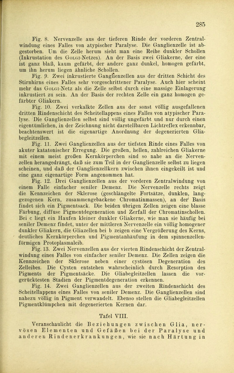 Fig. 8. Nervenzelle aus der tieferen Rinde der vorderen Zentral- windung eines Falles von atypischer Paralyse. Die Ganglienzelle ist ab- gestorben. Um die Zelle herum sieht man eine Reihe dunkler Schollen (Inkrustation des GoLcii-Netzes). An der Basis zwei Gliakerne, der eine ist ganz blaß, kaum gefärbt, der andere ganz dunkel, homogen gefärbt, um ihn herum liegen ähnliche Schollen. Fig. 9. Zwei inkrustierte Ganglienzellen aus der dritten Schicht des Stirnhirns eines Falles sehr vorgeschrittener Paralyse. Auch hier scheint mehr das GoLGi-Netz als die Zelle selbst durch eine massige Einlagerung inkrustiert zu sein. An der Basis der rechten Zelle ein ganz homogen ge- färbter Gliakern. Fig. 10. Zwei verkalkte Zellen aus der sonst völlig ausgefallenen dritten Rindenschicht des Scheitellappens eines Falles von atypischer Para- lyse. Die Ganglienzellen selbst sind völlig ungefärbt und nur durch einen eigentümlichen, in der Zeichnung nicht darstellbaren Lichtreflex erkennbar, beachtenswert ist die eigenartige Anordnung der degenerierten Glia- begleitzeilen. Fig. 11. Zwei Ganglienzellen aus der tiefsten Rinde eines Falles von akuter katatonischer Erregung. Die großen, hellen, zahlreichen Gliakerne mit einem meist großen Kernkörperchen sind so nahe an die Nerven- zellen herangedrängt, daß sie zum Teil in der Ganglienzelle selbst zu liegen scheinen, und daß der Ganglienzellkern zwischen ihnen eingekeilt ist und eine ganz eigenartige Form angenommen hat. Fig. 12. Drei Ganglienzellen aus der vorderen Zentralwindung von einem Falle einfacher seniler Demenz. Die Nervenzelle rechts zeigt die Kennzeichen der Sklerose (geschlängelte Fortsätze, dunklen, lang- gezogenen Kern, zusammengebackene Chromatinmassen), an der' Basis findet sich ein Pigmentsack. Die beiden übrigen Zellen zeigen eine blasse Färbung, diffuse Pigmentdegeneration und Zerfall der Chromatinschollen. Bei c liegt ein Haufen kleiner dunkler Gliakerne, wie man sie häufig bei seniler Demenz findet, unter der mittleren Nervenzelle ein völlig homogener dunkler Gliakern, die Gliazellen bei b zeigen eine Vergrößerung des Kerns, deutliches Kernkörperchen und Pigmentanhäufung in dem spinnenzellen- förmigen Protoplasmaleib. Fig. 13. Zwei Nervenzellen aus der vierten Rindenschicht der Zentral- windung eines Falles von einfacher seniler Demenz. Die Zellen zeigen die Kennzeichen der Sklerose neben einer cystösen Degeneration des Zelleibes. Die Cysten entstehen wahrscheinlich durch Resorption des Pigments der Pigmentsäcke. Die Gliabegleitzellen lassen die vor- gerücktesten Stadien der Pigmentdegeneration erkennen. Fig. 14. Zwei Ganglienzellen aus der zweiten Rindenschicht des Scheitellappens eines Falles von seniler Demenz. Die Ganglienzellen sind nahezu völlig in Pigment verwandelt. Ebenso stellen die Gliabegleitzellen Pigmentklümpchen mit degenerierten Kernen dar. Tafel VIII. Veranschaulicht die Beziehungen zwischen Glia, ner- vösen Elementen und Gefäßen bei der Paralyse und anderen Rindenerkrankungen, wie sie nach Härtung in